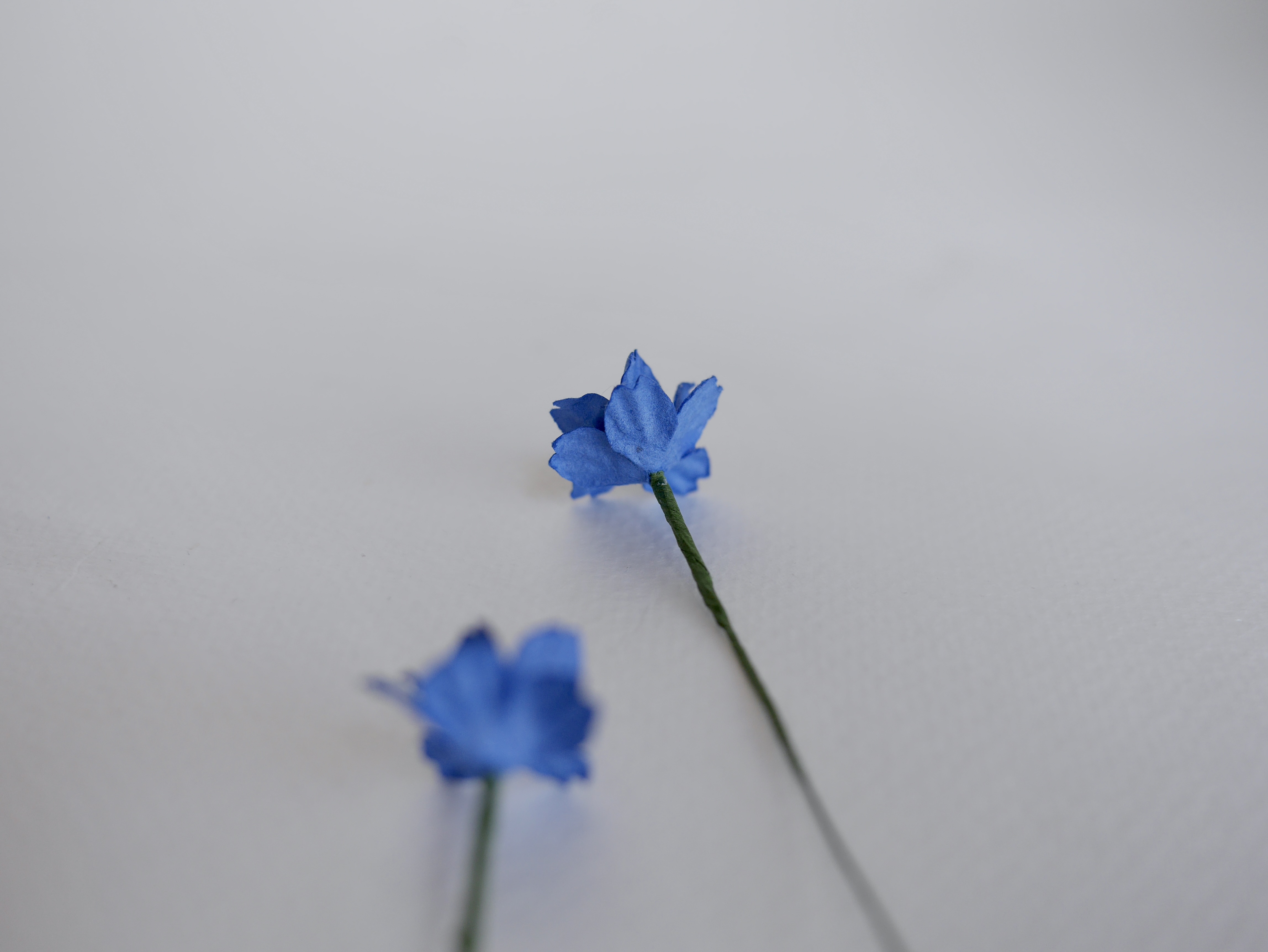 ดอกไม้กระดาษสา ดอกซากุระกระดาษ ขนาดเล็ก ดอกไม้กระดาษสาราคาส่ง ดอกไม้กระดาษสำหรับตกแต่งของชำร่วย งานแต่งงาน ทำช่อดอกไม้ติดอกเจ้าบ่าว ข้อมือดอกไม้เจ้าสาว ขนาด2.0 cm. 50 ดอก สีน้ำเงินน้ำทะเล Paper flowers supplies: DIY wedding tools small Cherry blossom