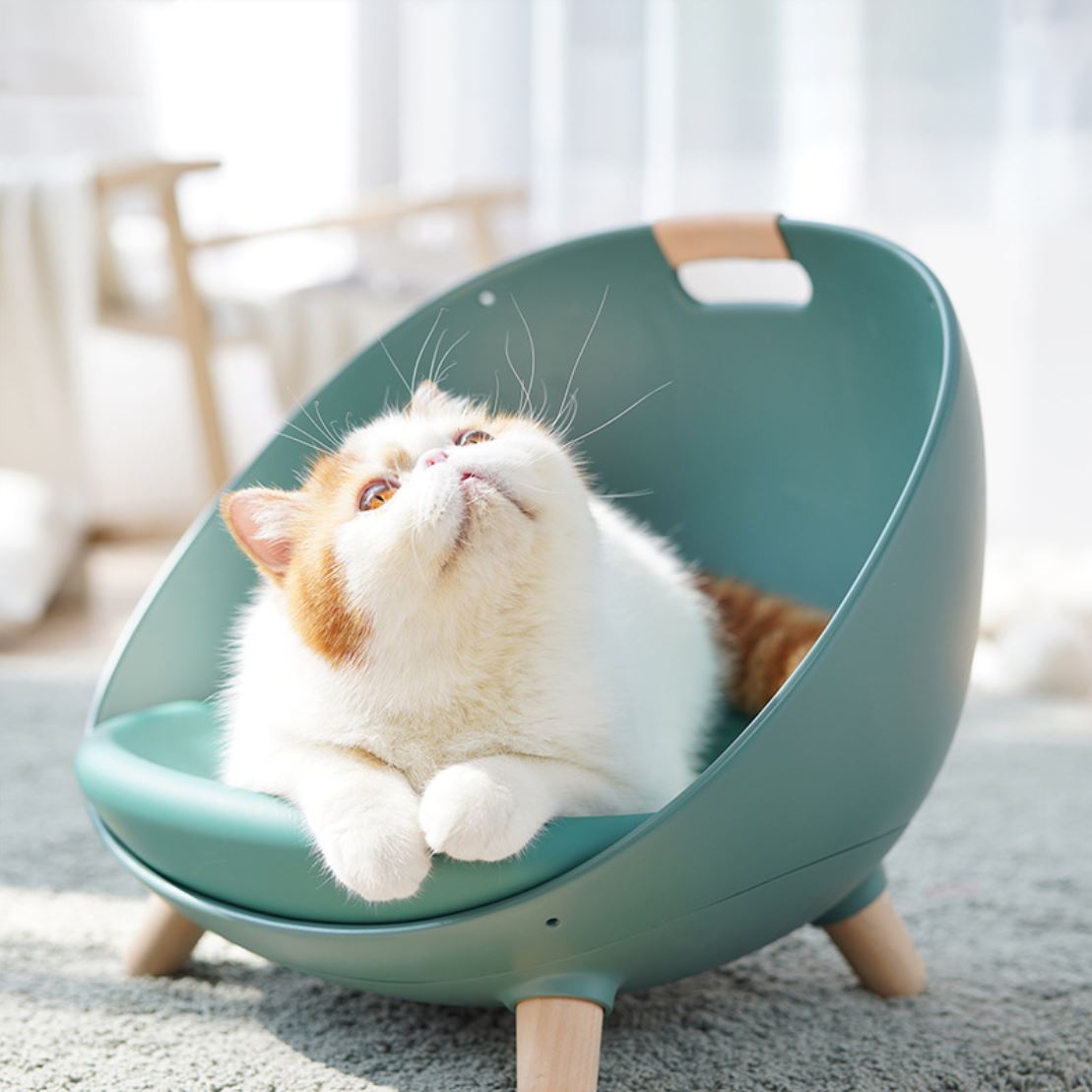[1100] Sofa bed pet เตียงแมว เปลี่ยนได้หลายแบบ ใส่น้ำร้อนได้ สุดฟิน