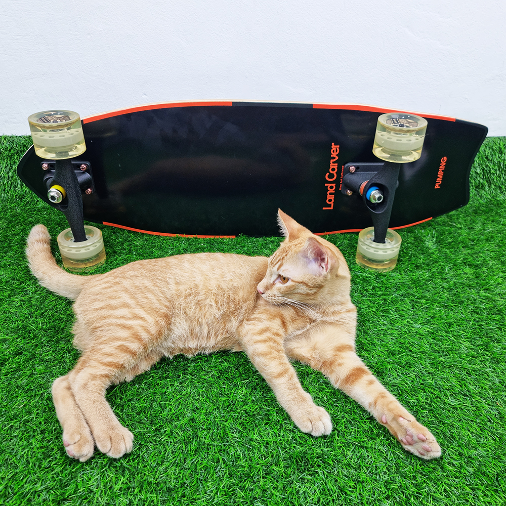 0202 Surf skate RareAnt บอร์ด 30.5x9.5 นิ้ว ทรัค CX7 ล้อ 65mm เซิร์ฟสเก็ตแผ่นกว้างยืนง่าย