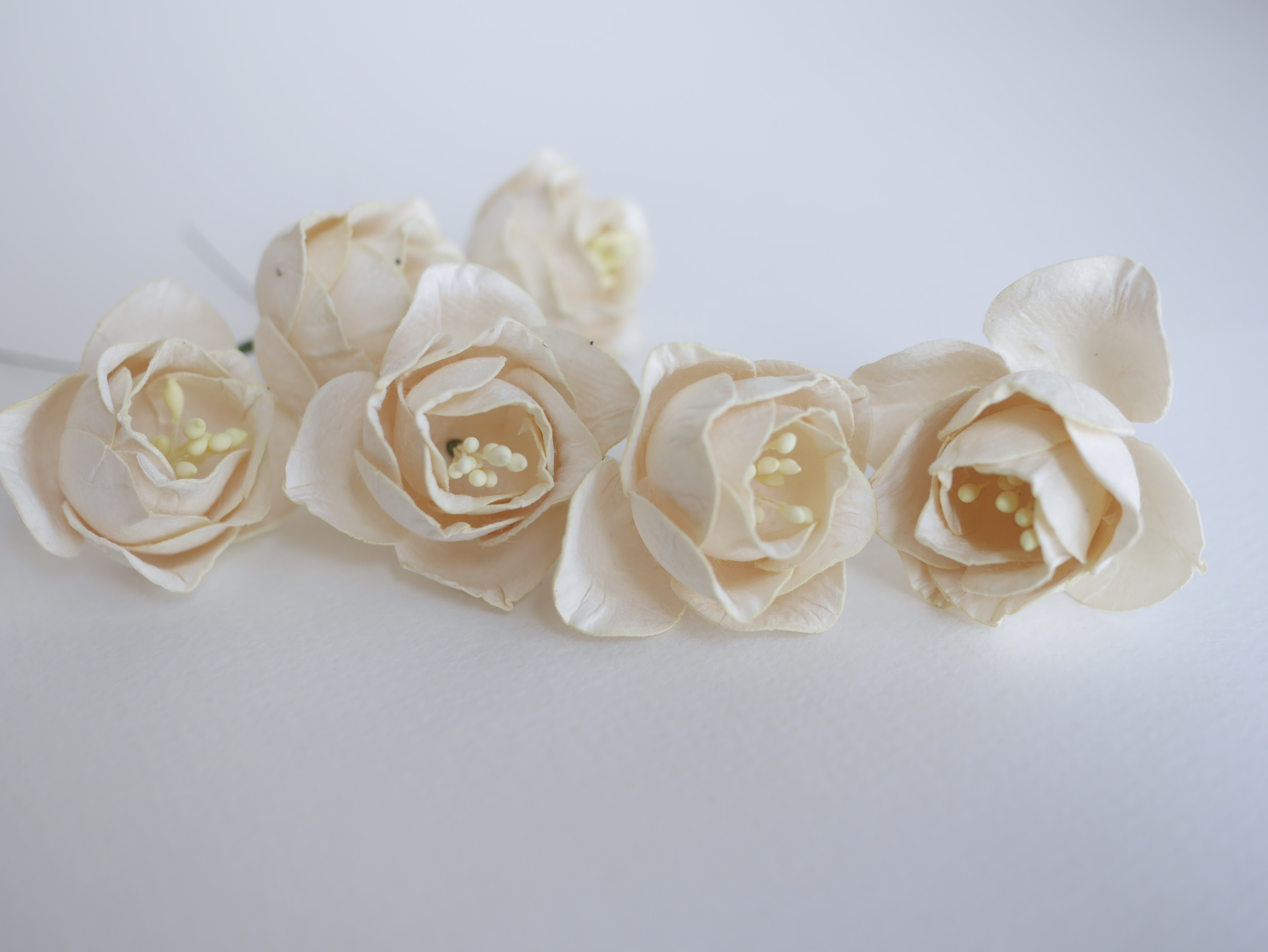 ดอกไม้กระดาษสา ดอกโลตัสอินโดนิเซียกระดาษ ดอกไม้กระดาษสาราคาส่ง ดอกไม้กระดาษสำหรับตกแต่งของชำร่วย งานแต่งงาน ทำช่อดอกไม้ติดอกเจ้าบ่าว ข้อมือดอกไม้เจ้าสาว ขนาด4.5 cm. 20 ดอก สีงาช้าง Paper flowers supplies: DIY wedding tools, Lotus with pollens.