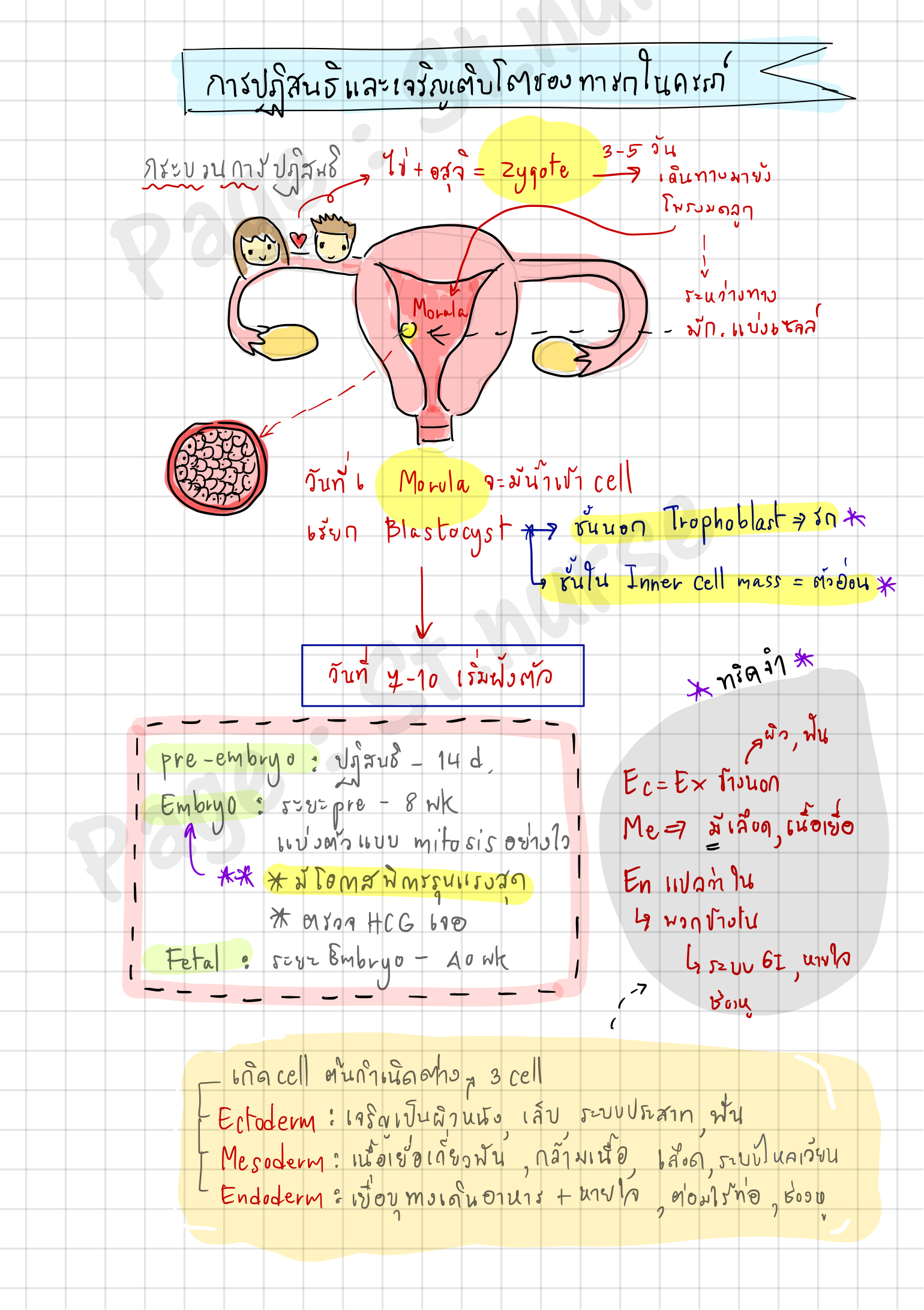 Shortnote การพยาบาลมารดาทารก