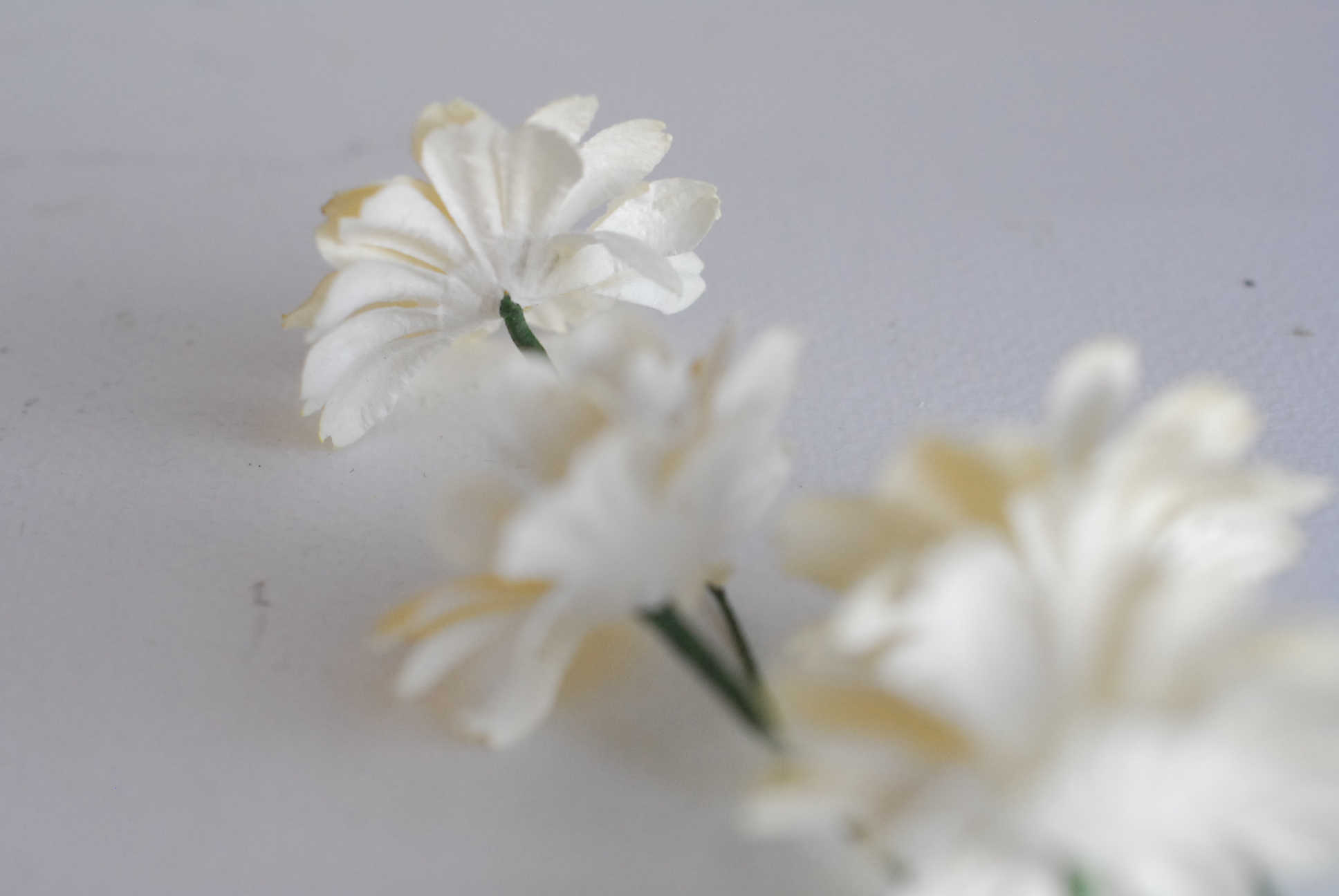 ดอกไม้กระดาษสา ดอกไม้ประดิษฐ์จากกระดาษสา ดอกเดซี่ ดอกไม้กระดาษสาขายส่ง ดอกไม้ประดิษฐ์ ดอกไม้ทำข้อมือเพื่อนเจ้าสาว ดอก daisy ขนาด 3.5 cm. จำนวน 25 ดอก สีครีม Paper Flower, 25 Daisy Flowers, ivory color, size 4.5 cm., ivory cream pollen.