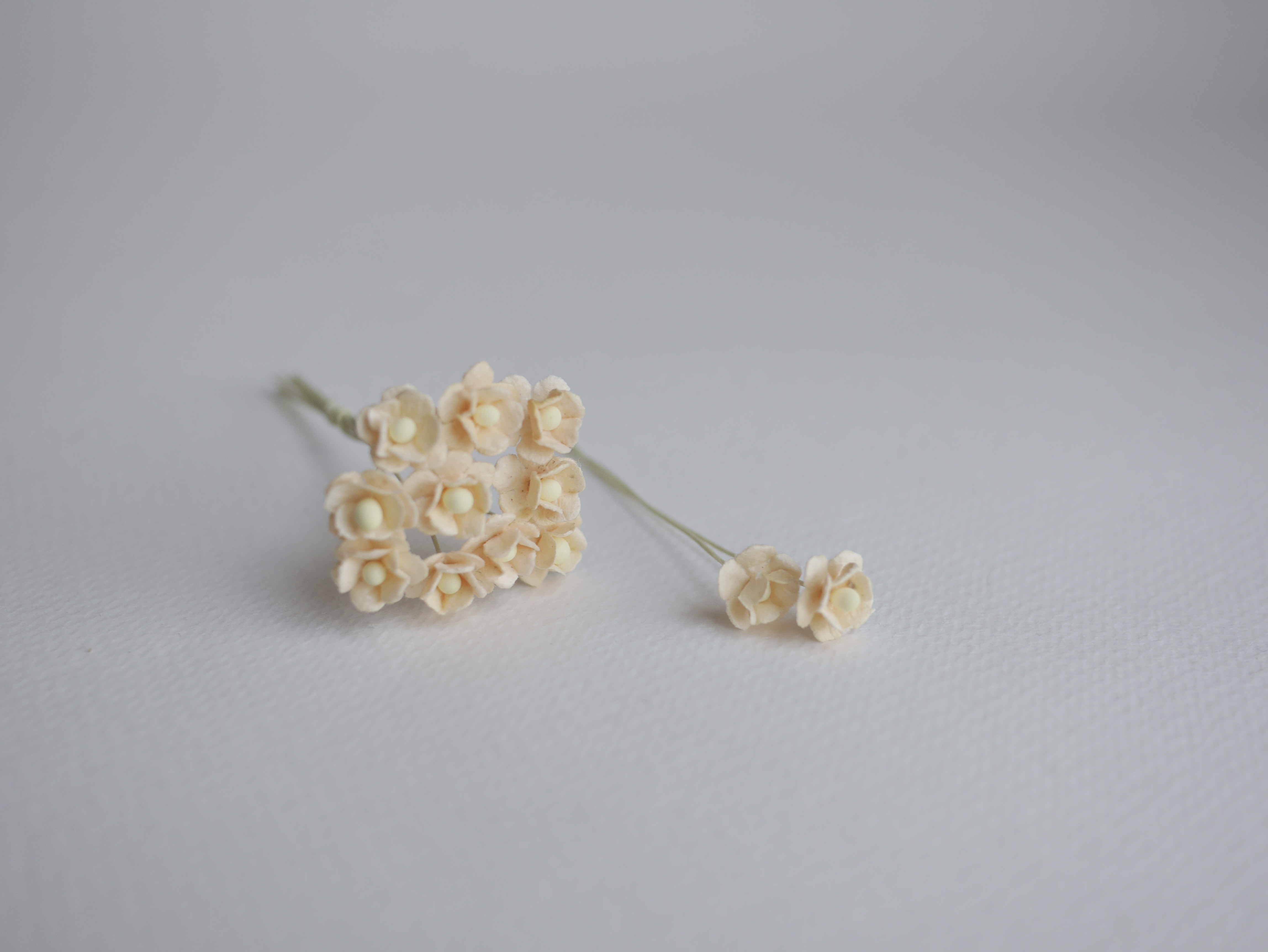 ดอกไม้กระดาษสา ดอกไม้กระดาษสาราคาส่ง ดอกไม้กระดาษสำหรับตกแต่ง งานแต่งงาน หรือติดของชำร่วย ดอก creeping lady 100 ดอก ขนาด 0.8 cm. สีเหลืองไข่อ่อน Small Paper Flower with stem, 100 pcs., size 0.8 cm., creeping flowers 2 layers, soft egg color.