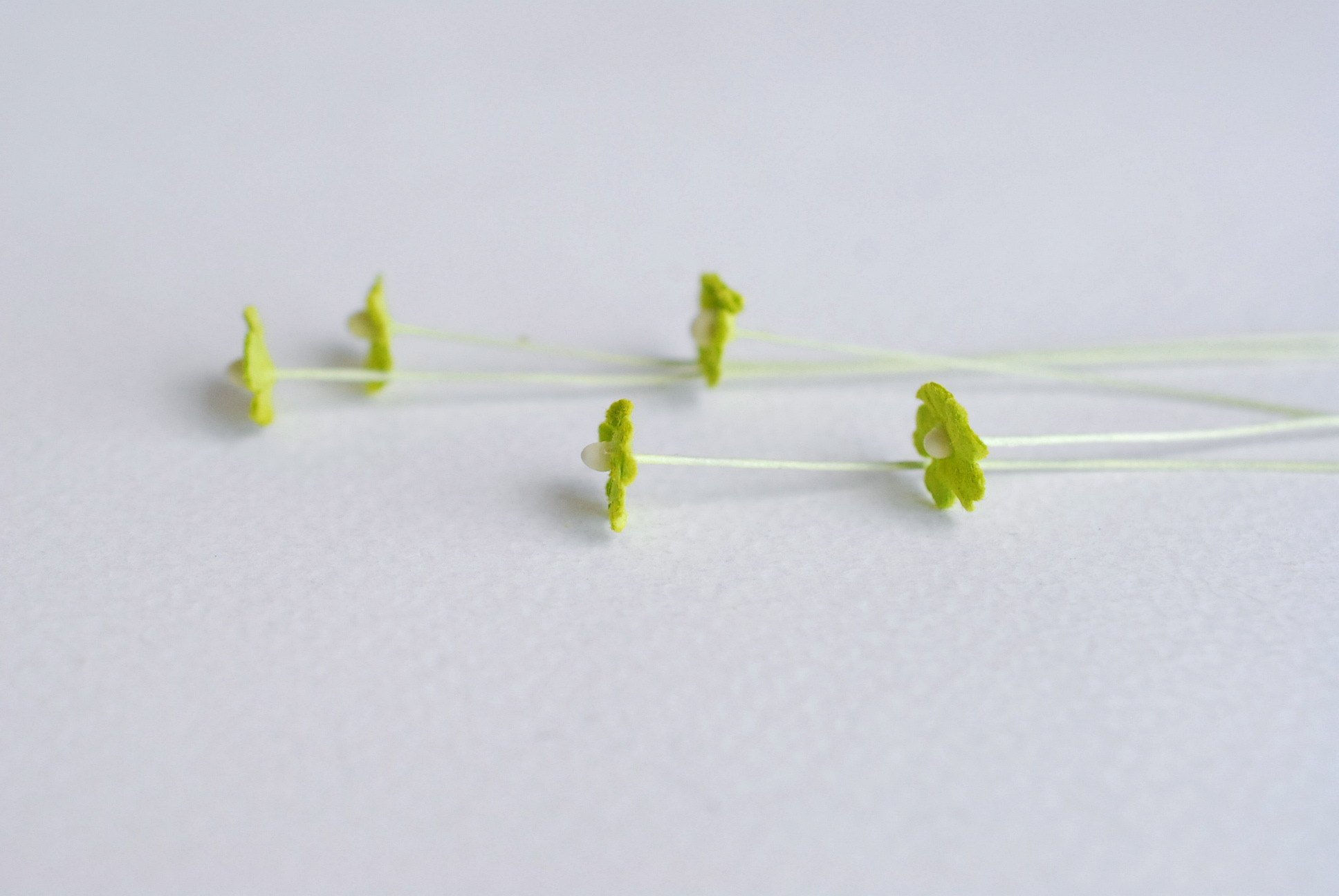 ดอกไม้กระดาษสา ดอกไม้กระดาษสาราคาส่ง ดอกไม้กระดาษสำหรับตกแต่ง งานแต่งงาน หรือติดของชำร่วย ดอกไม้จิ๋ว 100 ดอก ขนาด 0.6 cm. สีเขียว Small Paper Flower with stem, , 100 pcs., size 0.6 cm., small creeping ladies flowers 1 layer, green color.