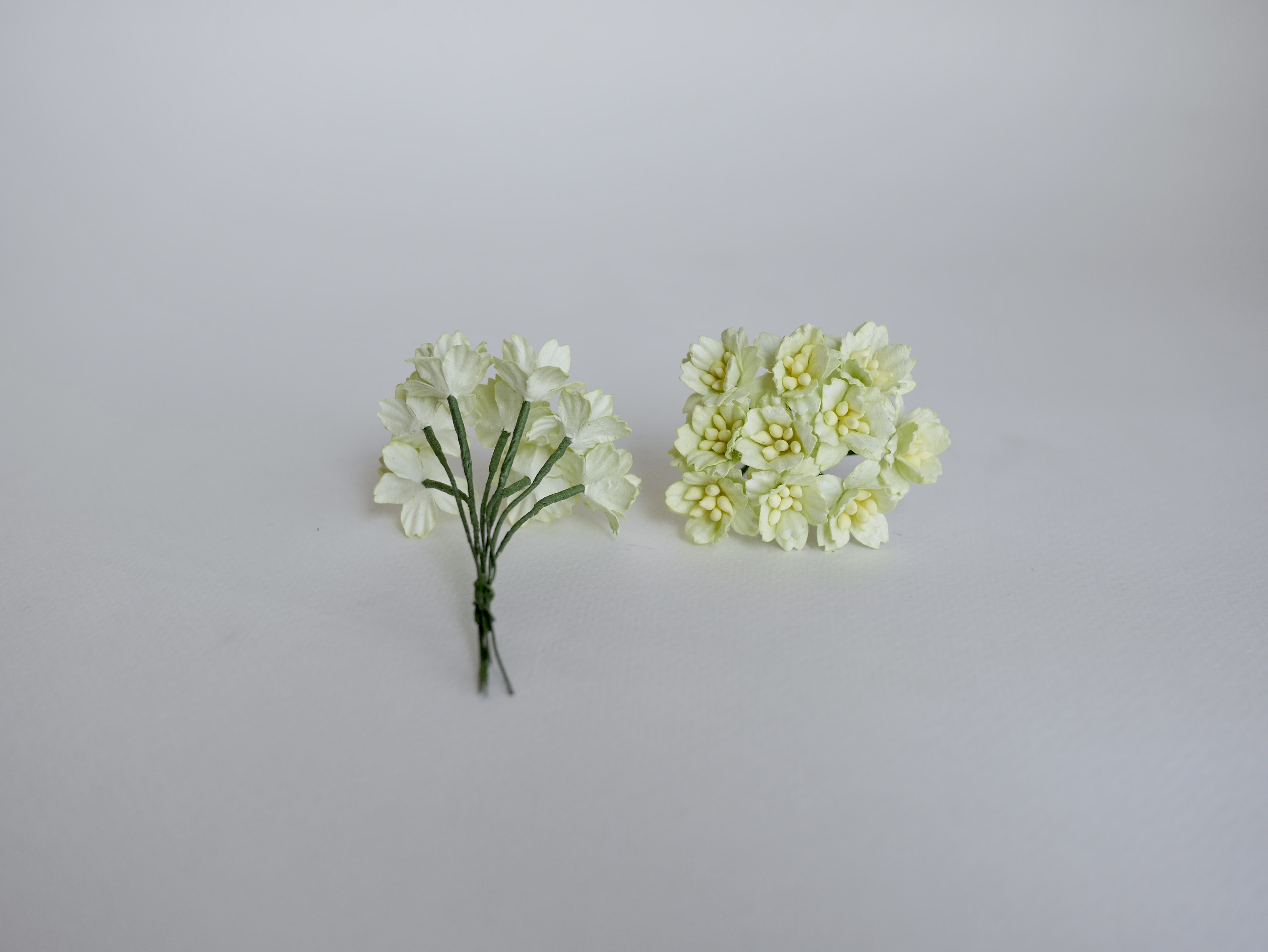 ดอกไม้กระดาษสา ดอกซากุระกระดาษ ขนาดเล็ก ดอกไม้กระดาษสาราคาส่ง ดอกไม้กระดาษสำหรับตกแต่งของชำร่วย งานแต่งงาน ทำช่อดอกไม้ติดอกเจ้าบ่าว ข้อมือดอกไม้เจ้าสาว ขนาด 2.0 cm. 50 ดอก สีเขียวพาสเทลอ่อน Paper flowers supplies: DIY wedding tools small Cherry blossom pa