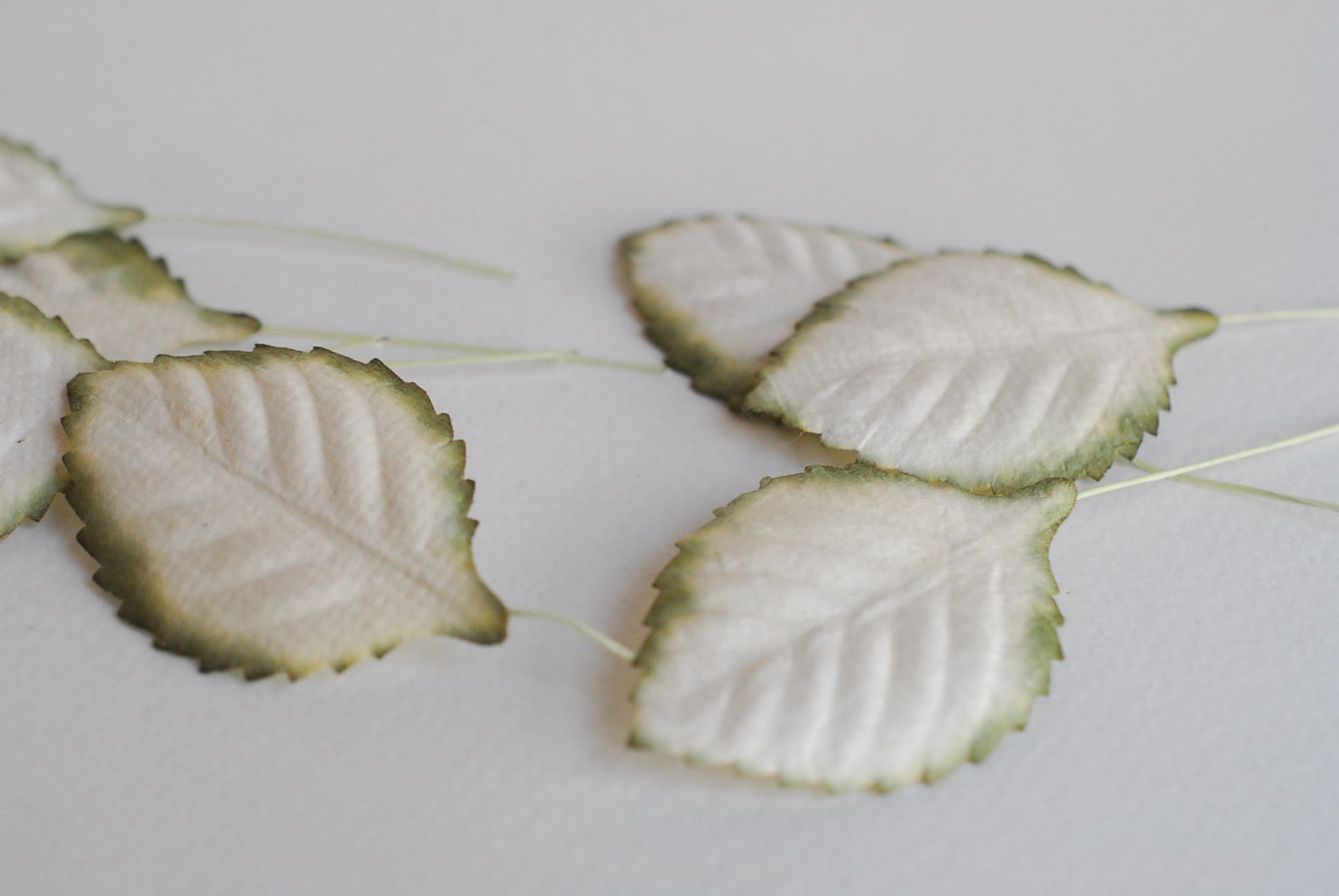 ใบไม้กระดาษ ใบไม้กระดาษสา ราคาส่ง,ใบไม่้กุหลาบกระดาษ สำหรับดอกกุหลาบกระดาษสา ใบไม้ประดิษฐ์ สำหรับตกแต่ง หรืองานแต่งงาน สีขาวปัดเขียวแก่ ขนาด 4.5x2.5 cm. จำนวน 50 ใบ