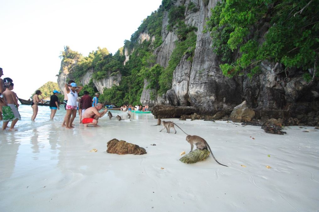 อันดับ 1 ทัวร์เกาะพีพี อ่าวมาหยา อ่าวปิเละ เกาะไข่ เรือสปีดโบ๊ท Phi Phi Island Khai Island - Maya Bay - Pileh Lagoon