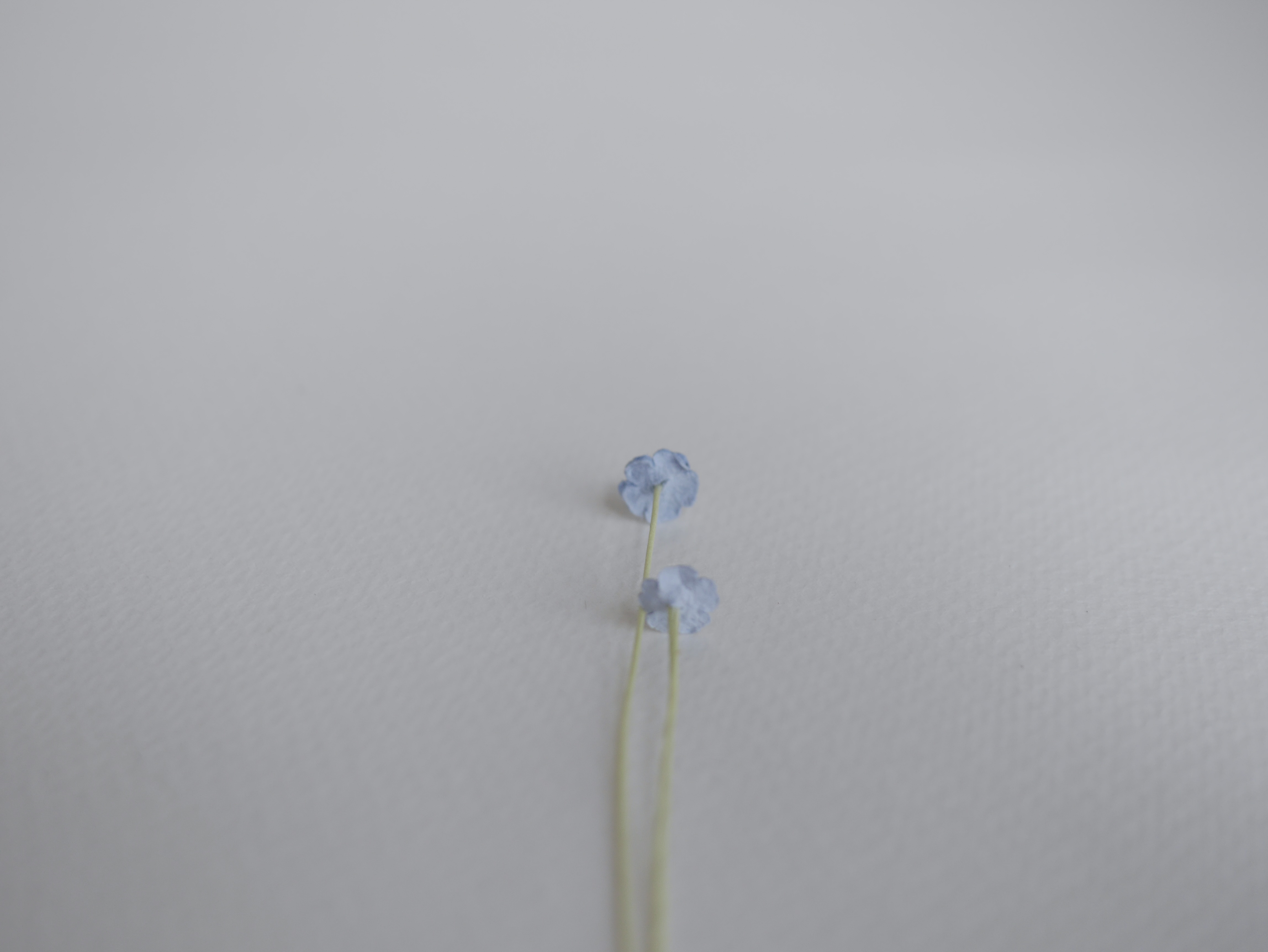 ดอกไม้กระดาษสา ดอกไม้กระดาษสาราคาส่ง ดอกไม้กระดาษสำหรับตกแต่ง งานแต่งงาน หรือติดของชำร่วย ดอกไม้จิ๋ว 100 ดอก ขนาด 0.6 cm. สีฟ้าตุ่น Small Paper Flower with stem, , 100 pcs., size 0.5 cm., small creeping ladies flowers 1 layer, wooden blue color.