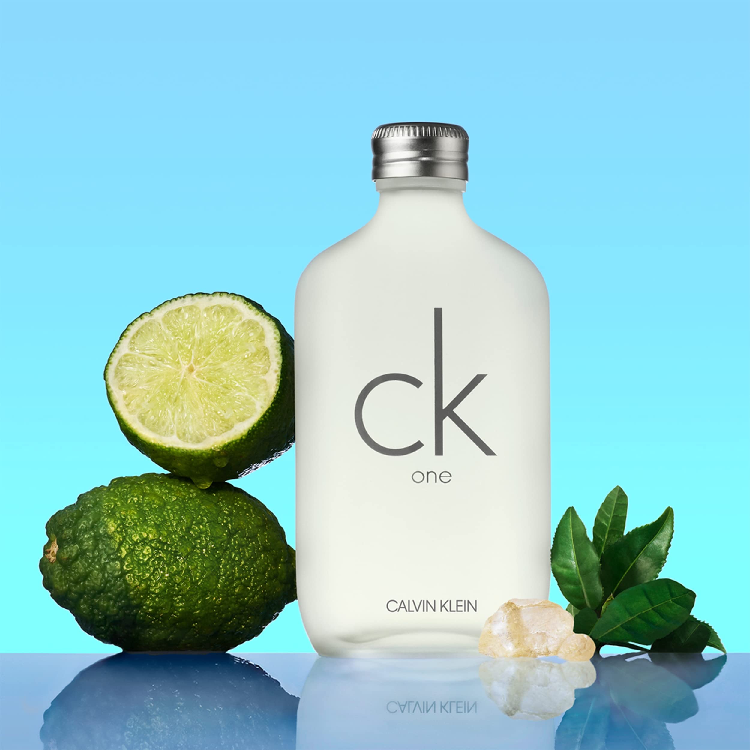 CK ONE EDT 100 ml (Counter Box)
