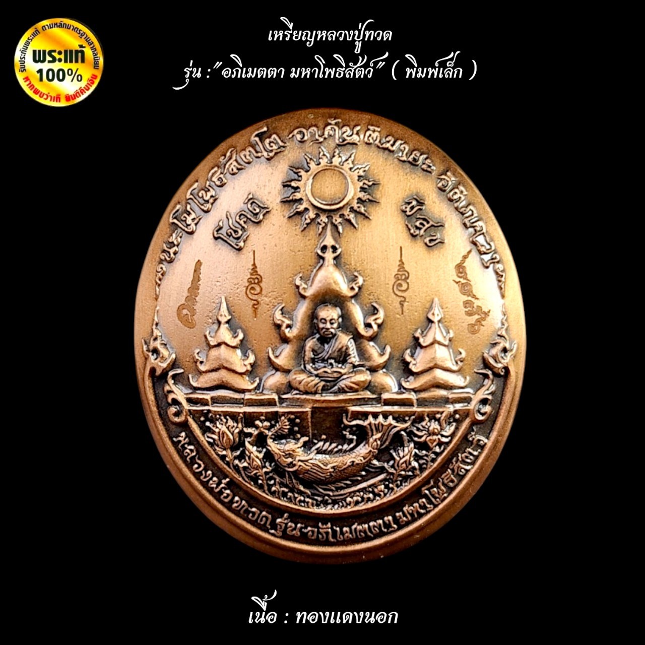 เหรียญหลวงปู่ทวด รุ่น " อภิเมตตา มหาโพธิสัตว์ " ( พิมพ์เล็ก )