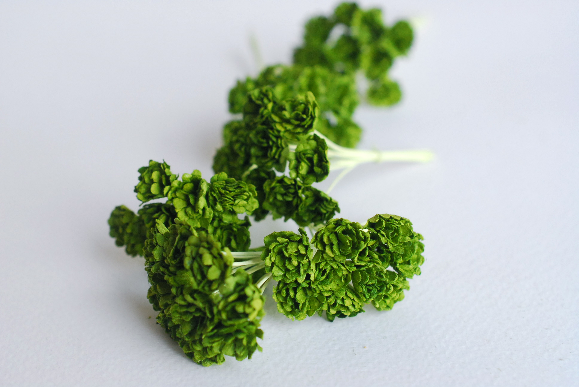 ดอกไม้เขียวทำพานพุ่ม ดอกกะเบง ดอกไม้ประดิษฐ์, ดอกไม้กระดาษสา, ดอก gypsophila, ดอกยิปโซ งานประดิษฐ์ตกแต่งของชำร่วย, ,พานพวงมาลัย, พานรับไหว้, ขนาด 1 cm. สีเขียว 20 ถุง