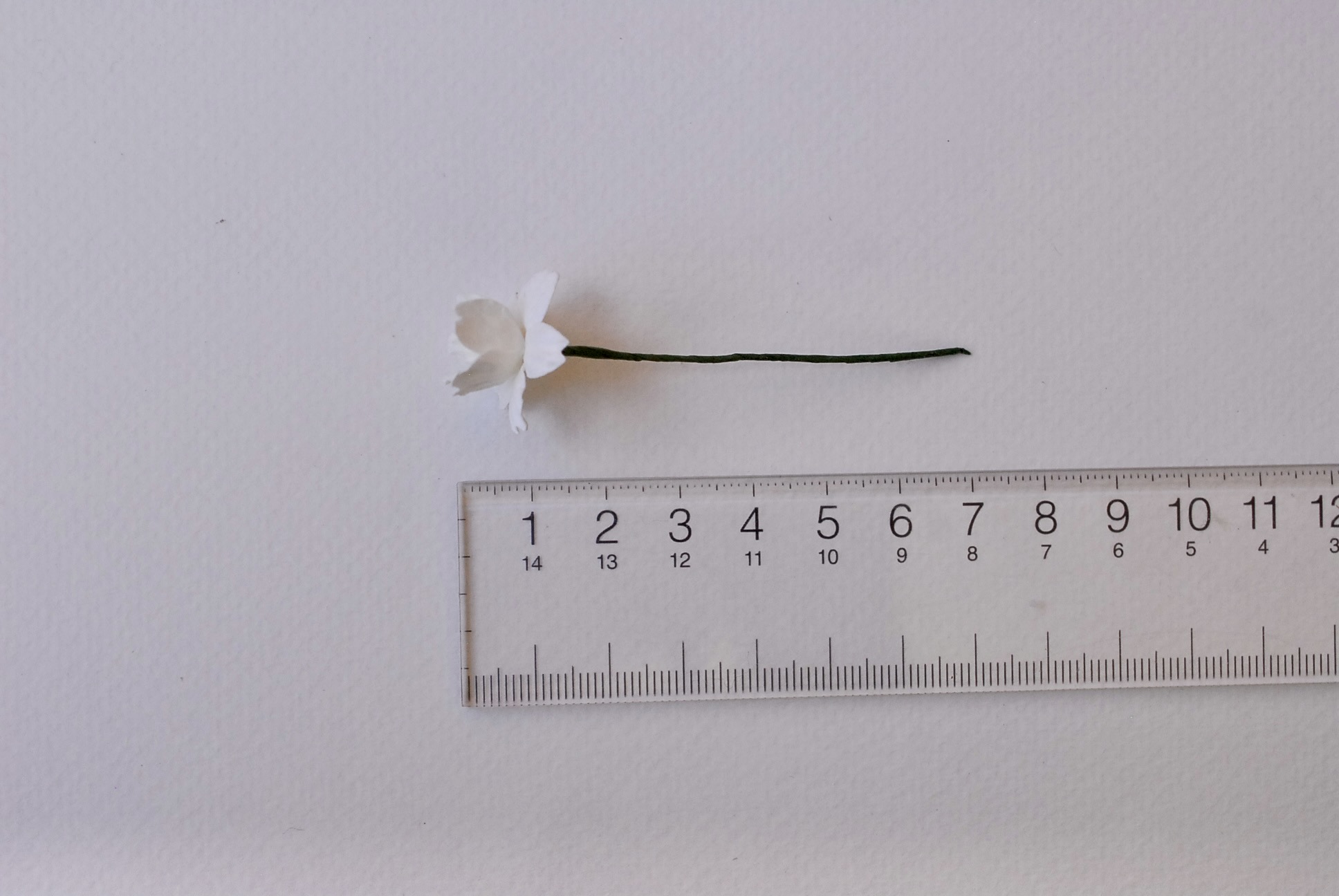 ดอกไม้กระดาษสา ดอกซากุระกระดาษ ขนาดเล็ก ดอกไม้กระดาษสาราคาส่ง ดอกไม้กระดาษสำหรับตกแต่งของชำร่วย งานแต่งงาน ทำช่อดอกไม้ติดอกเจ้าบ่าว ข้อมือดอกไม้เจ้าสาว ขนาด2.0 cm. 50 ดอก สี ofwhite Paper flowers supplies: DIY wedding tools small Cherry blossom (Sakura)