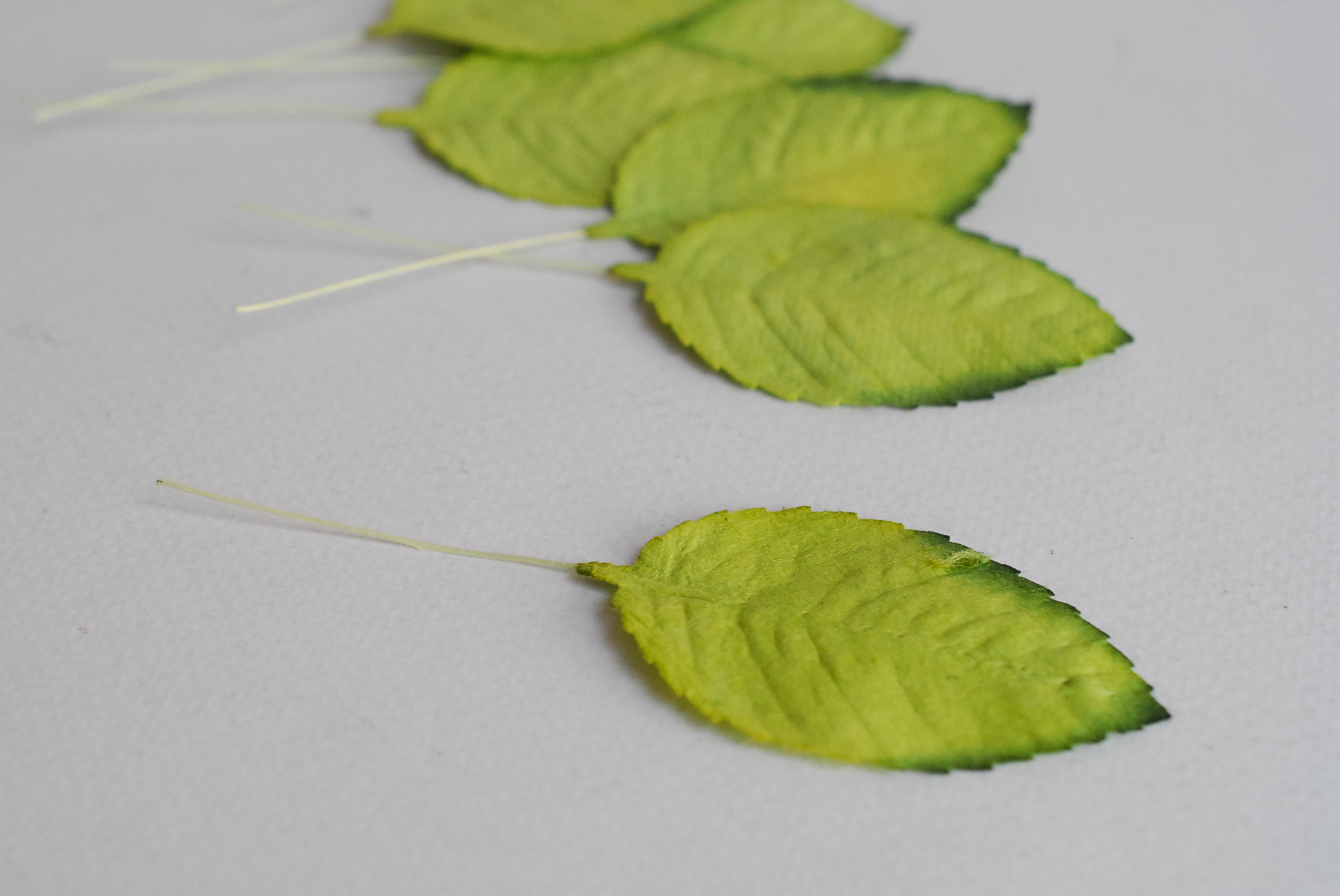 ใบไม้กระดาษ ใบไม้กระดาษสา ราคาส่ง,ใบไม่้กุหลาบกระดาษ สำหรับดอกกุหลาบกระดาษสา ใบไม้ประดิษฐ์ สำหรับตกแต่ง หรืองานแต่งงาน สีเขียวปัดเขียวเข้ม ขนาด6x4.5 cm. จำนวน 50 ใบ