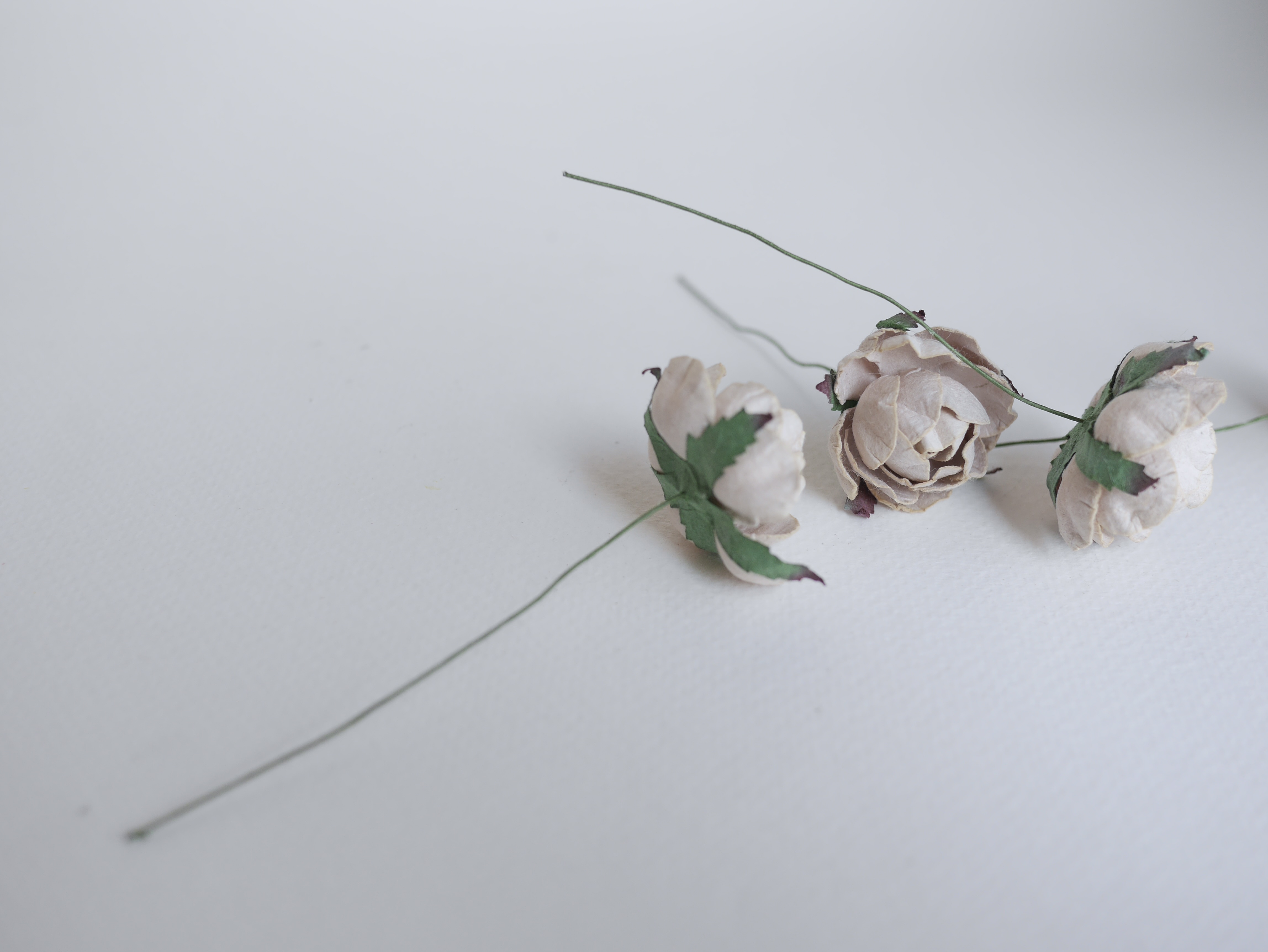 ดอกกุหลาบกระดาษสา peony ดอกไม้กระดาษสาราคาส่ง, ดอกไม้กระดาษ,ดอกไม้ประดิษฐ์ สำหรับตกแต่งของชำร่วย งานแต่งงาน ดอกกุหลาบกลม peony ขนาด 3.5 cm. จำนวน 25 ดอก, สีน้ำตาลอ่อน Paper Flowers, Peony flowers supplies size 3.5cm./ 25 pieces, handmade flowers. brown be