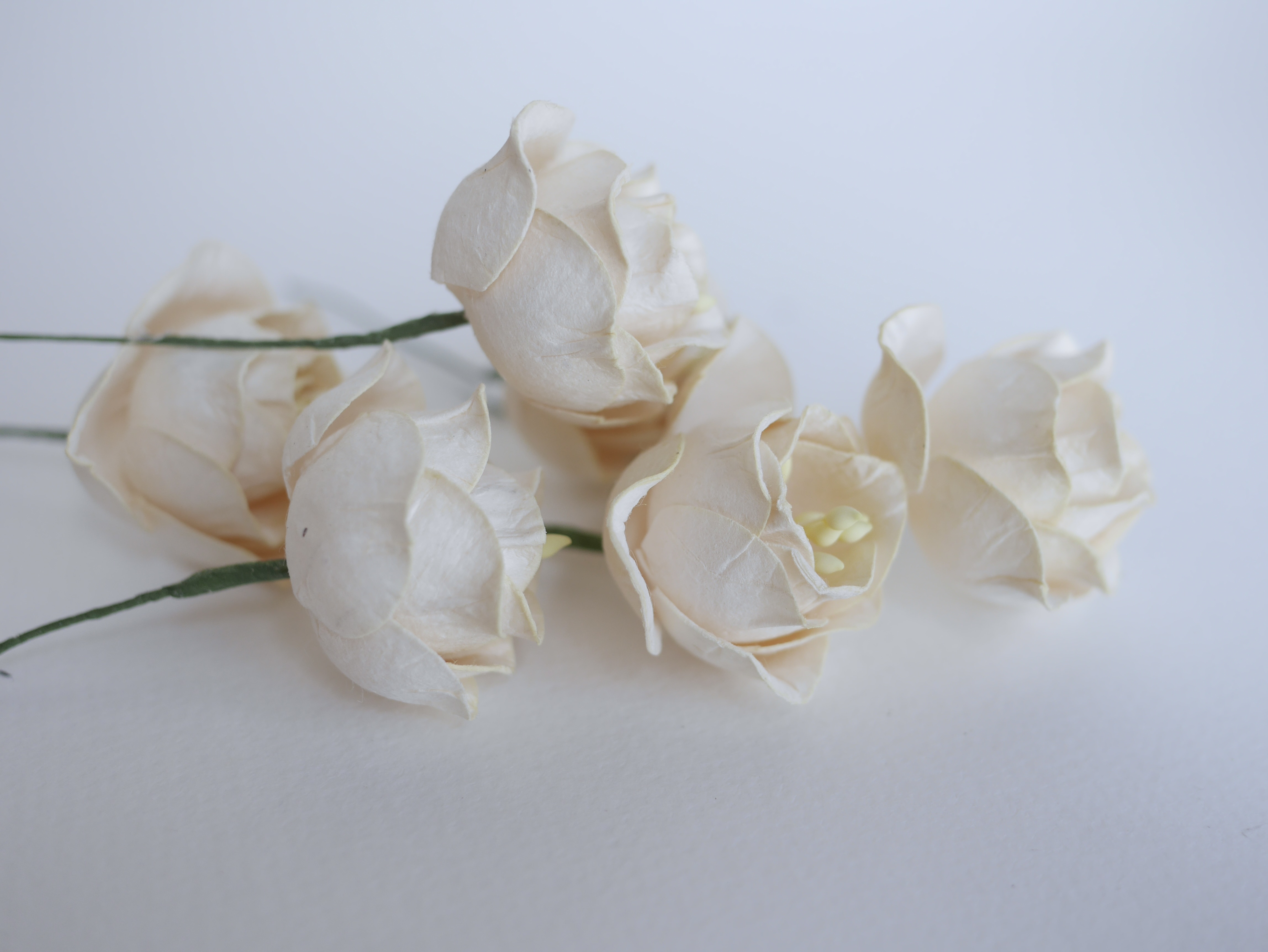 ดอกไม้กระดาษสา ดอกโลตัสอินโดนิเซียกระดาษ ดอกไม้กระดาษสาราคาส่ง ดอกไม้กระดาษสำหรับตกแต่งของชำร่วย งานแต่งงาน ทำช่อดอกไม้ติดอกเจ้าบ่าว ข้อมือดอกไม้เจ้าสาว ขนาด4.5 cm. 20 ดอก สีงาช้าง Paper flowers supplies: DIY wedding tools, Lotus with pollens.