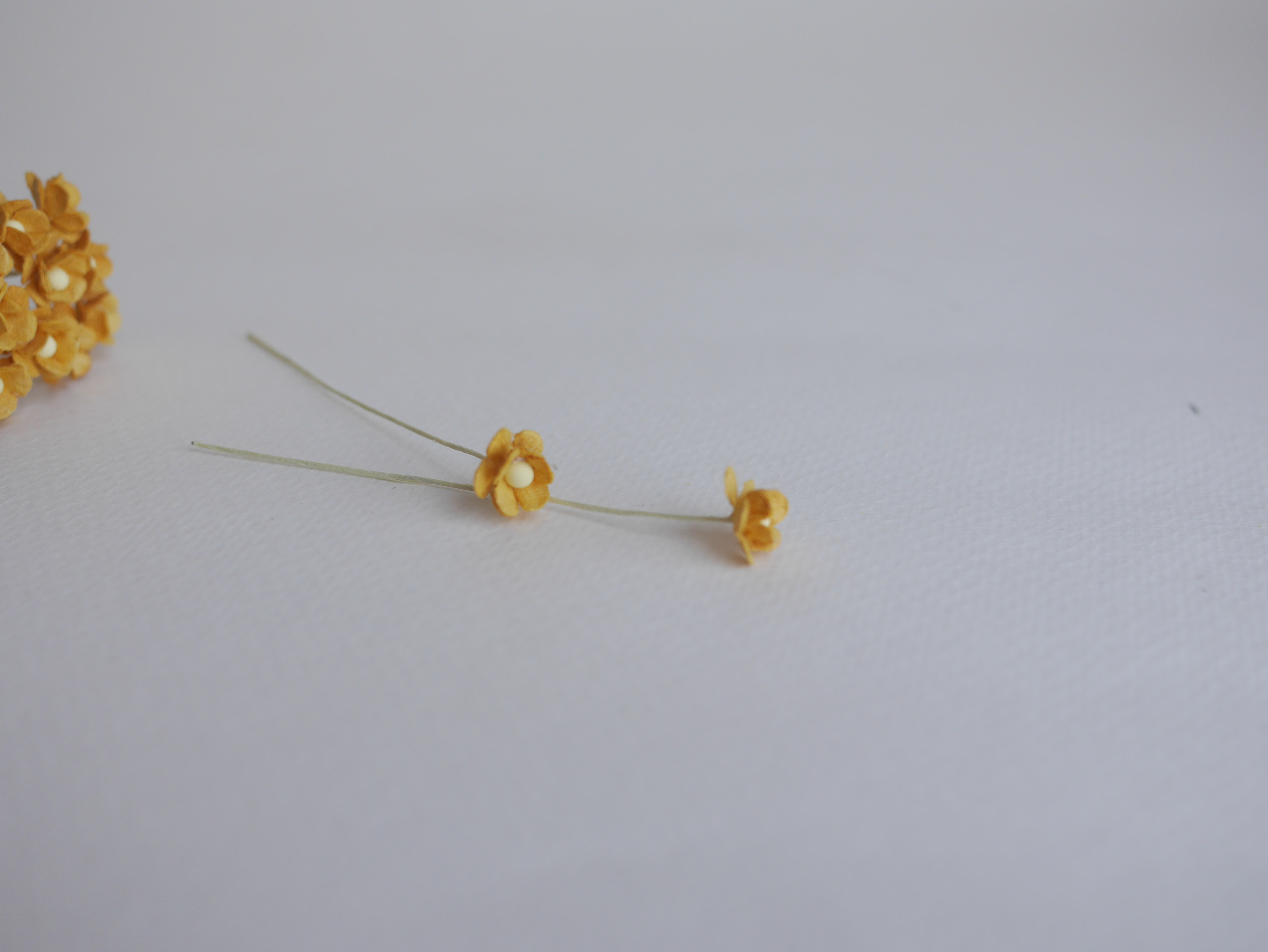 ดอกไม้กระดาษสา ดอกไม้กระดาษสาราคาส่ง ดอกไม้กระดาษสำหรับตกแต่ง งานแต่งงาน หรือติดของชำร่วย ดอก creeping lady 100 ดอก ขนาด 0.8 cm. สีน้ำตาลกากี Small Paper Flower with stem, 100 pcs., size 0.8 cm., creeping flowers 2 layers, khaki brown color.