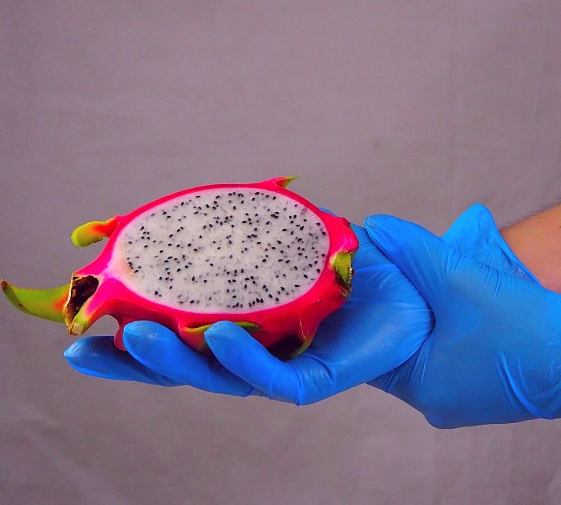 [หน่วยกล่องเล็ก] VBL50 ถุงมือไวนิลผสมไนไตร สีฟ้า ไม่มีแป้ง ยาว 9 นิ้ว หนา 5 มิล หนัก 5 กรัม (100ชิ้น/กล่อง)