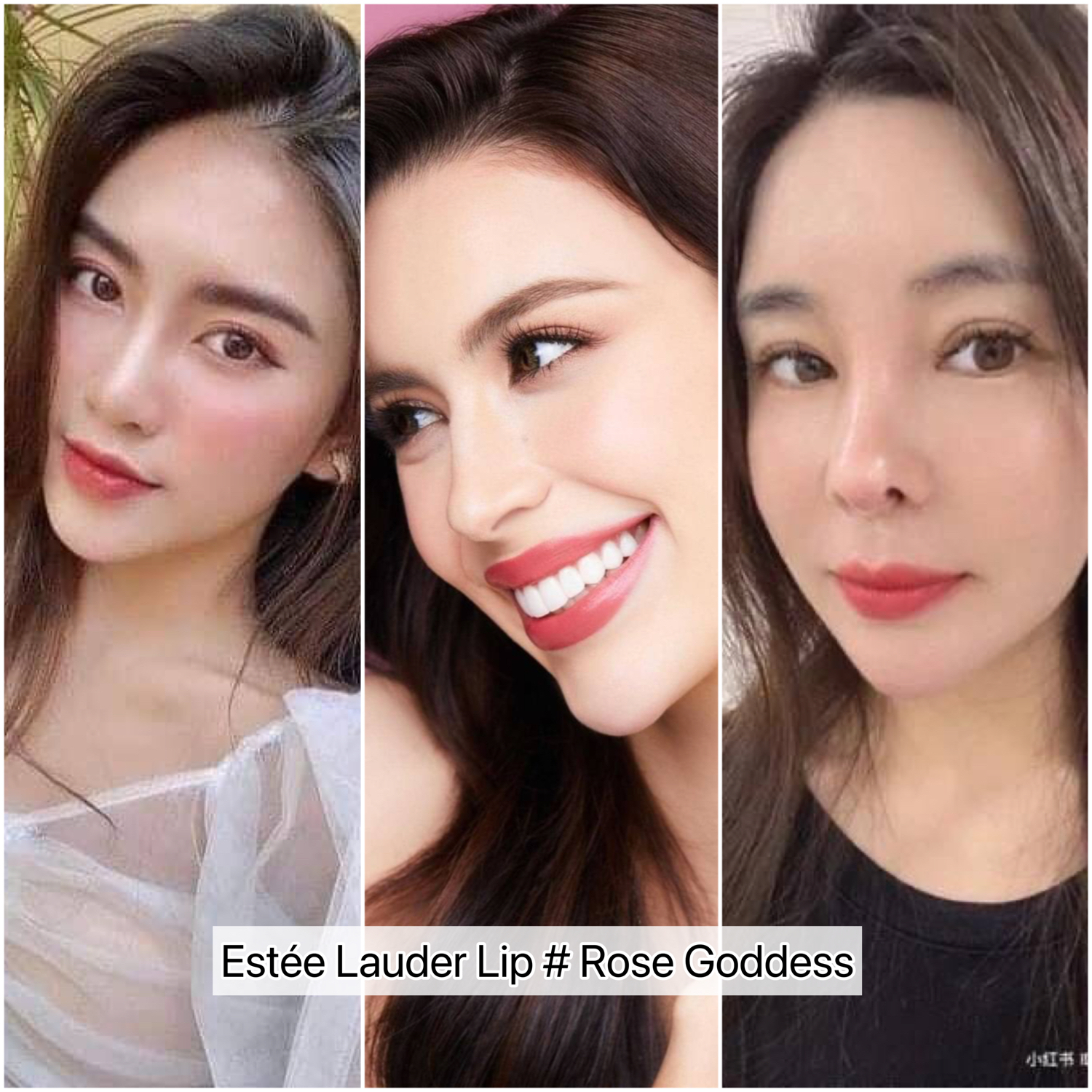 ลิปสติก Estee Lauder Pure Color Lipstick 2.8g # Rose Goddess (No Box)