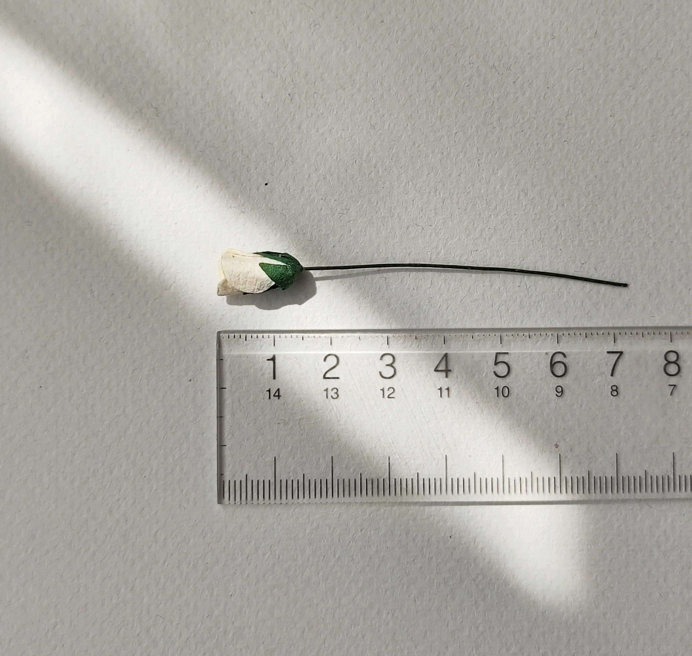 ดอกไม้กระดาษสา ดอกไม้กระดาษสา จตุจักร งานประดิษฐ์ ดอกไม้ทำข้อมือเพื่อนเจ้าสาว แต่งงาน, ดอกกุหลาบตูม 50 ดอก สีครีมอ่อน ขนาด 0.8x1.5 cm. paper flowers, budding roses flower 0.8 x1.5 cm. 50 pieces. pale ivorycolor