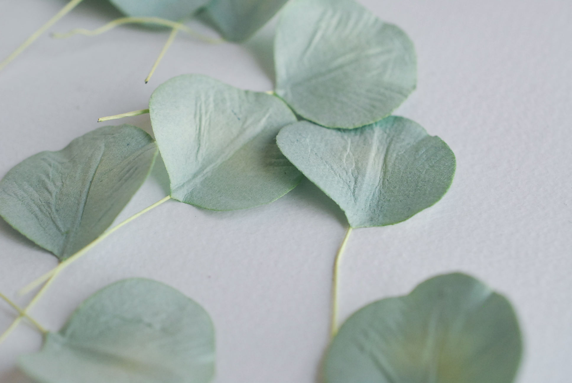 ใบไม้กระดาษ orbicular leaves ใบไม้กระดาษสา ราคาส่ง,ใบไม่้กลม กระดาษ สำหรับงานประดิษฐ์ ใบไม้ประดิษฐ์ สำหรับตกแต่ง หรืองานแต่งงาน สีเขียวตุ่น ขนาด 3x3 cm. จำนวน 50 ใบ