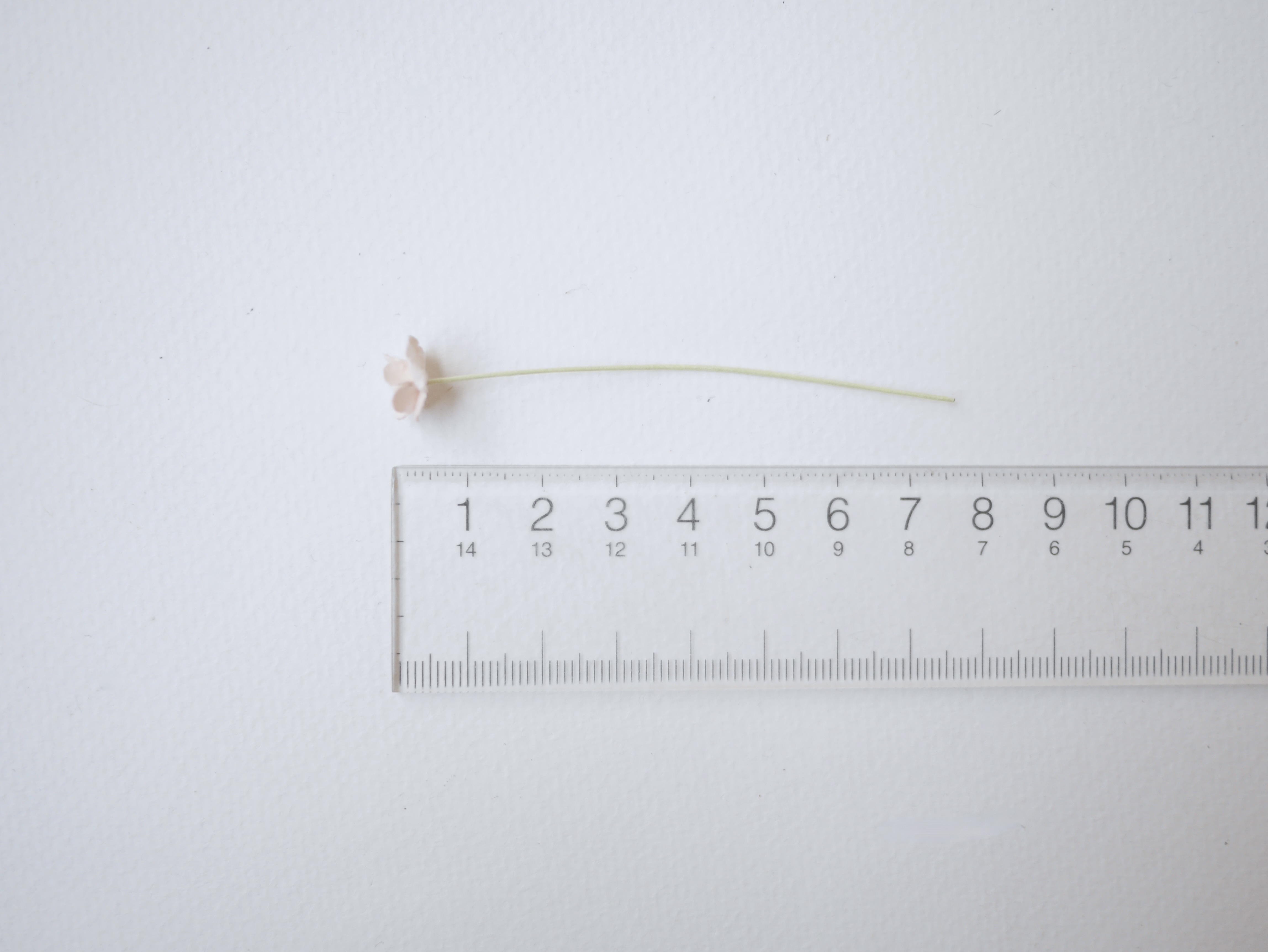 ดอกไม้กระดาษสา ดอกไม้กระดาษสาราคาส่ง ดอกไม้กระดาษสำหรับตกแต่ง งานแต่งงาน หรือติดของชำร่วย ดอก creeping lady 100 ดอก ขนาด 0.8 cm. คละสีพาสเทล Small Paper Flower with stem, , 100 pcs., size 0.8 cm., creeping flowers 2 layers, pastel mixed rainbow color.