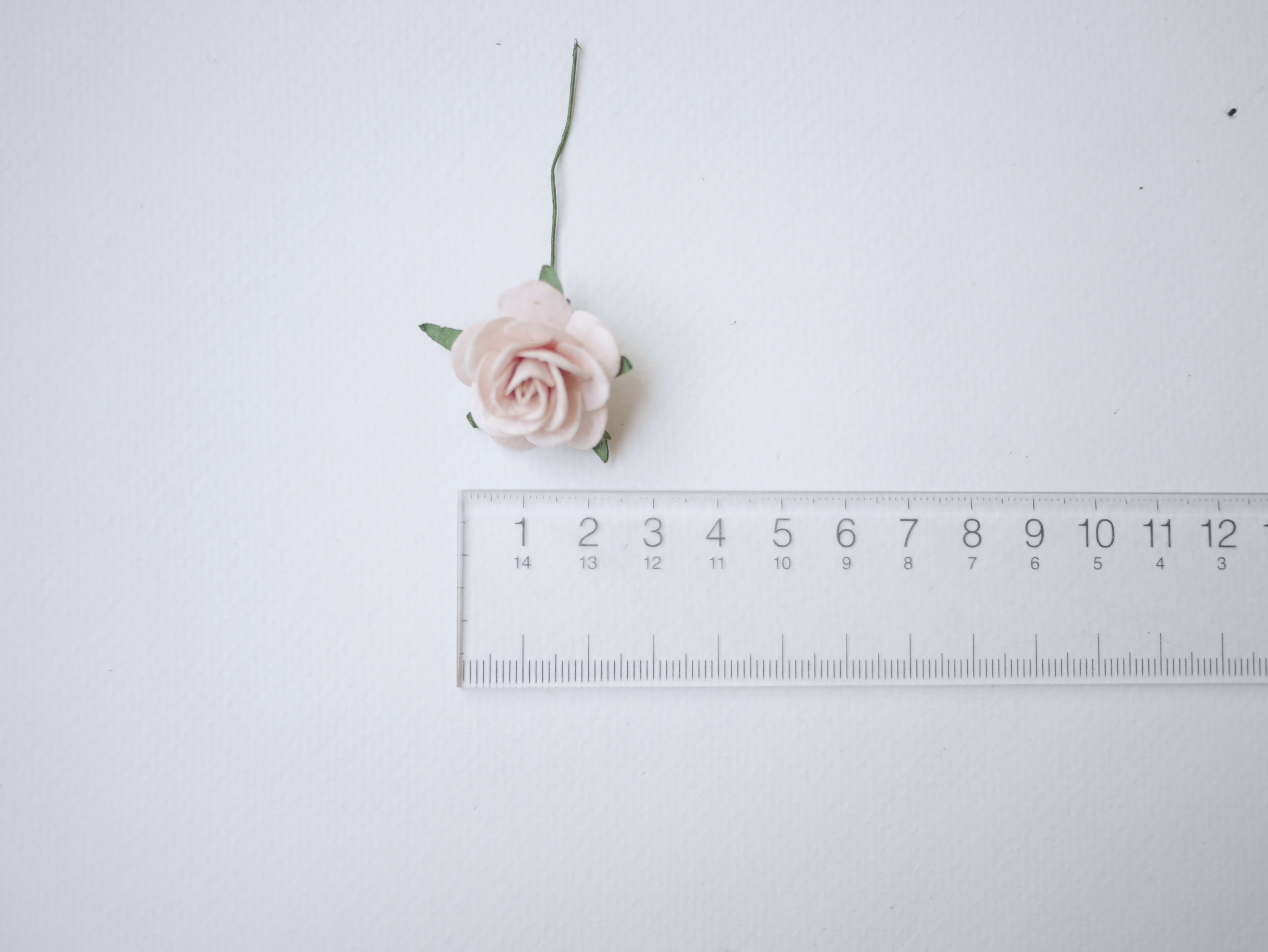 ดอกไม้กระดาษ ดอกไม้กระดาษสา ราคาส่ง,ดอกไม้กุหลาบกระดาษ ดอกกุหลาบกระดาษสา ดอกไม้ประดิษฐ์ สำหรับตกแต่ง หรืองานแต่งงาน สีpeachอ่อน (สีชมพูพีชอ่อน)ขนาด 2.5 cm. จำนวน 50 ดอก