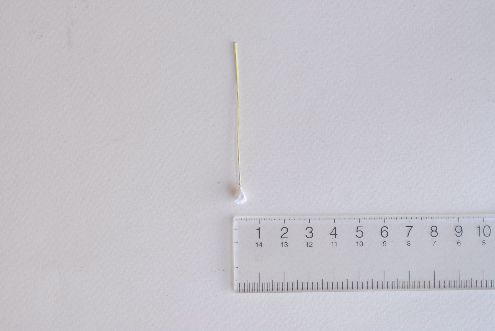 ดอกไม้ประดิษฐ์, ดอกไม้กระดาษสา, ดอก gypsophila, ดอกยิปโซ งานประดิษฐ์ตกแต่งของชำร่วย, ดอกไม้ทำพานพุ่ม, พานรับไหว้, ขนาด 0.4 cm. สีขาว