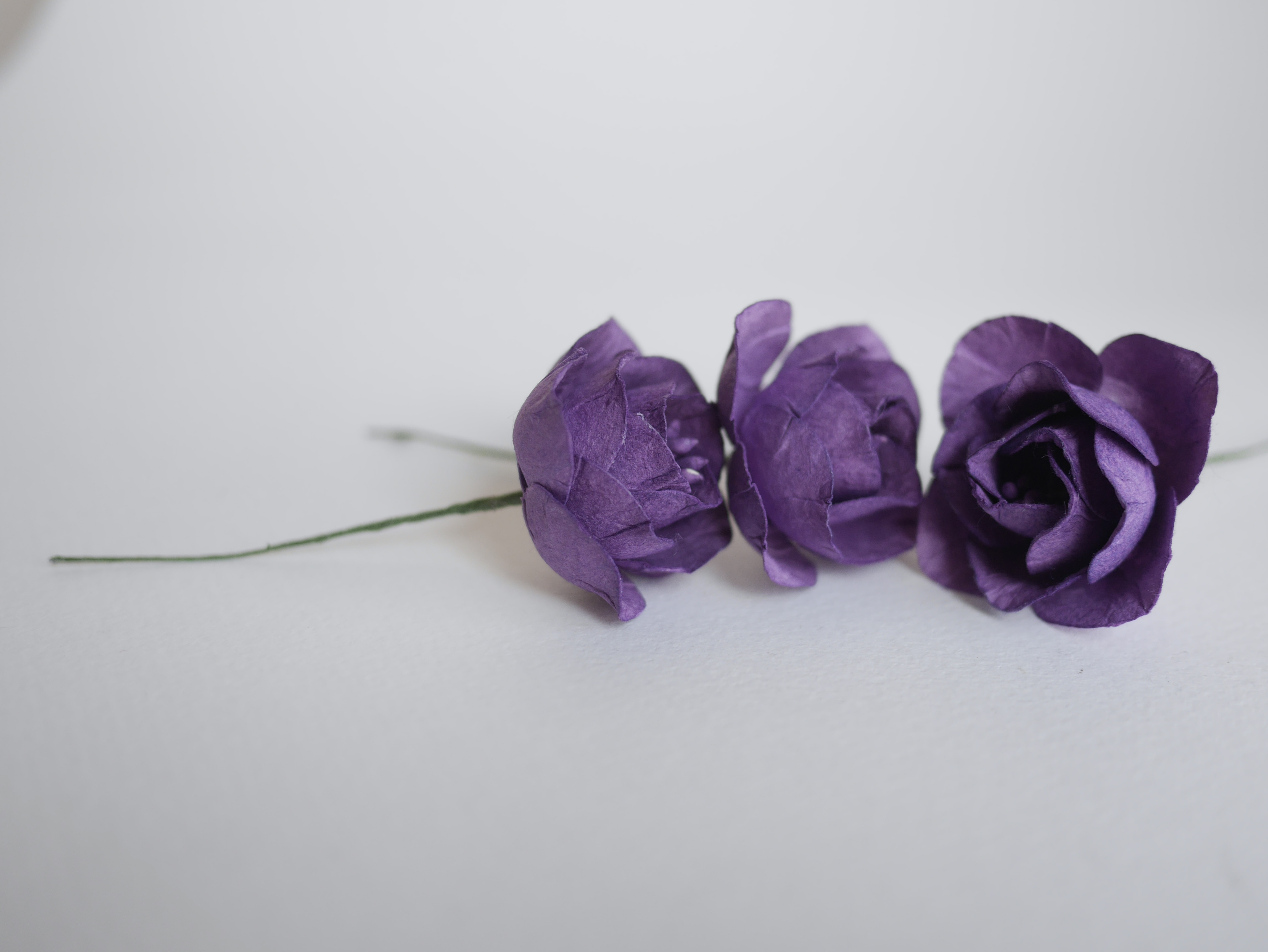 ดอกไม้กระดาษสา ดอกโลตัสอินโดนิเซียกระดาษ ดอกไม้กระดาษสาราคาส่ง ดอกไม้กระดาษสำหรับตกแต่งของชำร่วย งานแต่งงาน ทำช่อดอกไม้ติดอกเจ้าบ่าว ข้อมือดอกไม้เจ้าสาว ขนาด 4.5 cm. 20 ดอก สีม่วงเข้ม Paper flowers supplies: DIY wedding tools, Lotus with pollens, dark pur