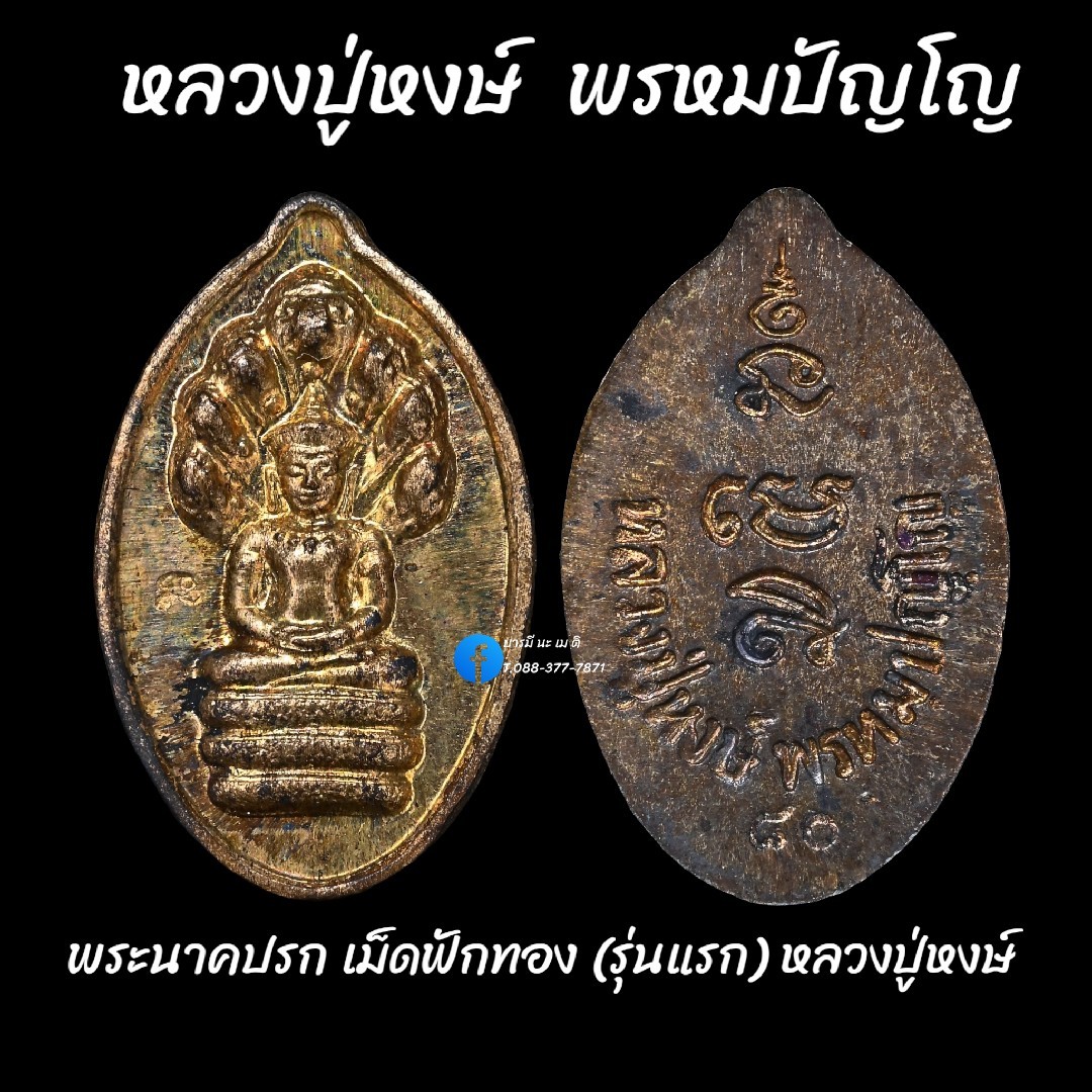 พระนาคปรก เม็ดฟักทอง(รุ่นแรก) หลวงปู่หงษ์ พรหมปัญโญ