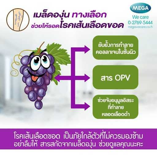 Mega Grape Seed Extract 20mg (60แคปซูล) สารสกัดจากเมล็ดองุ่น