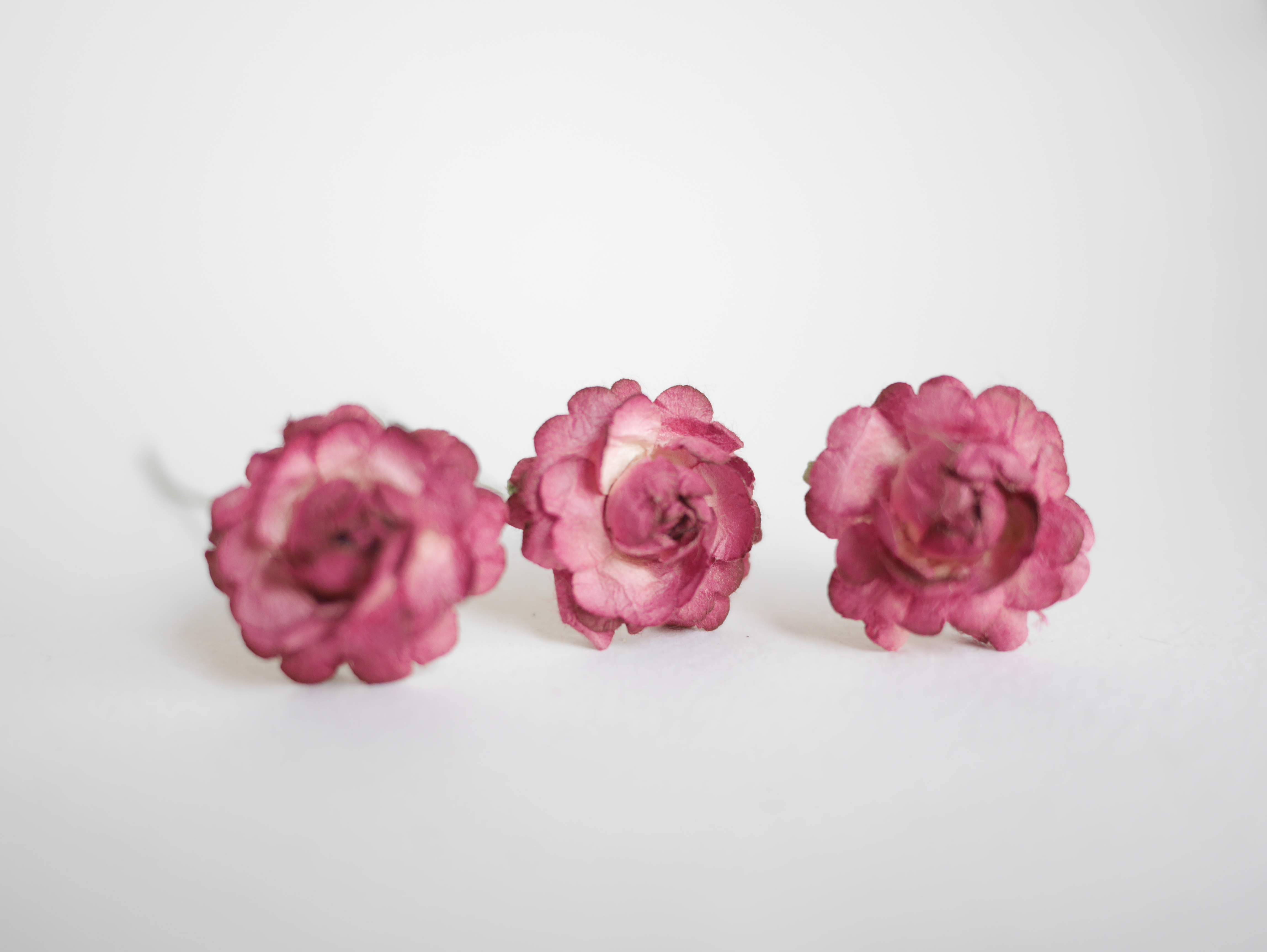 ดอกไม้กระดาษสา, ดอกไม้ตกแต่ง, ของชำร่วย, ดอกกุหลาบ สีเลือดหมู จำนวน 10 ดอก Paper flower, English peony Ranunculus roses 10 pcs., size 3 cm., burgundy color.