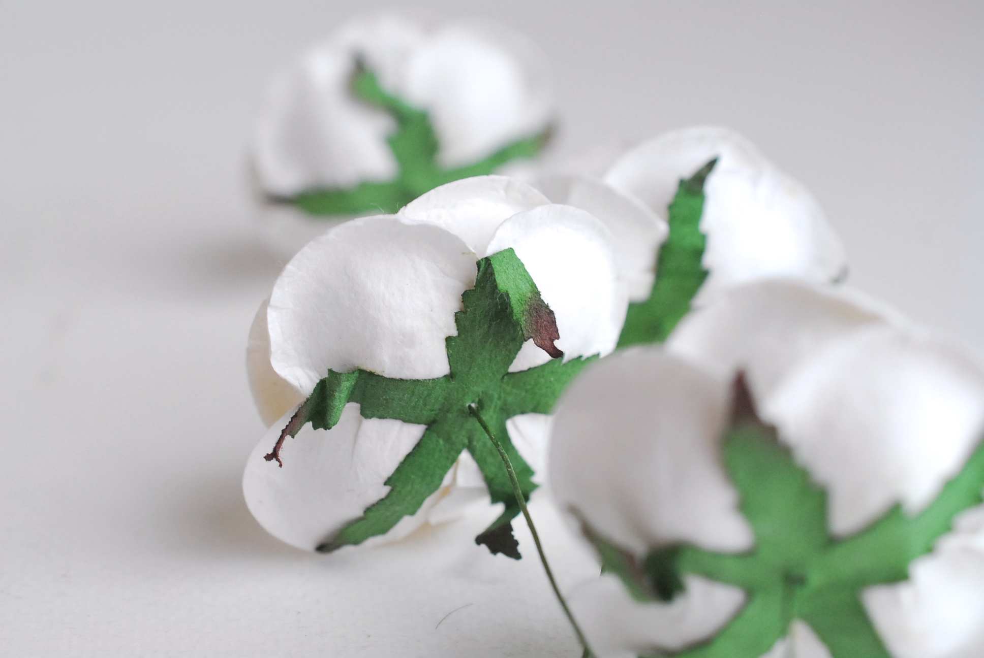 ดอกไม้กระดาษสา 10 ห่อ (200ดอก) ดอกไม้กุหลาบประดิษฐ์ ดอกไม้ประดิษฐ์ งานแต่งงาน ตกแต่งของชำร่วย ขนา่ด 4.5 cm., สำหรับของชำร่วย, งานแต่งงาน,ของชำร่วย งานแต่งงาน สีขาว Paper flower,200 Pieces mulberry rose, 4.5 cm. white color. สำเนา