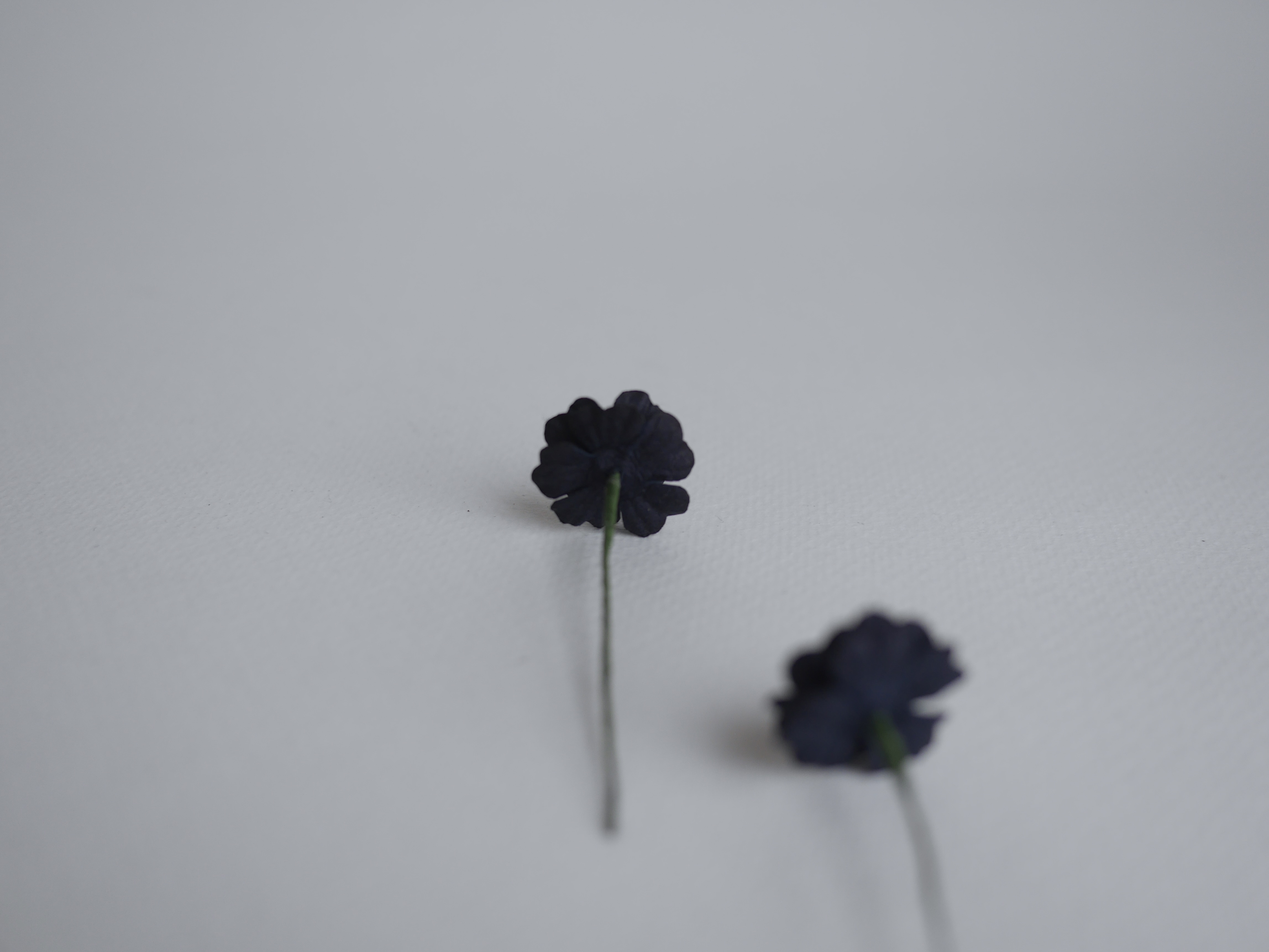 ดอกไม้กระดาษสา ดอกไม้กระดาษสา จตุจักร งานประดิษฐ์ ดอกไม้ทำข้อมือเพื่อนเจ้าสาว แต่งงาน ดอกไม้กระดาษ poppy สีดำ black color ขนาด 2.00 cm. จำนวน 50 ดอก