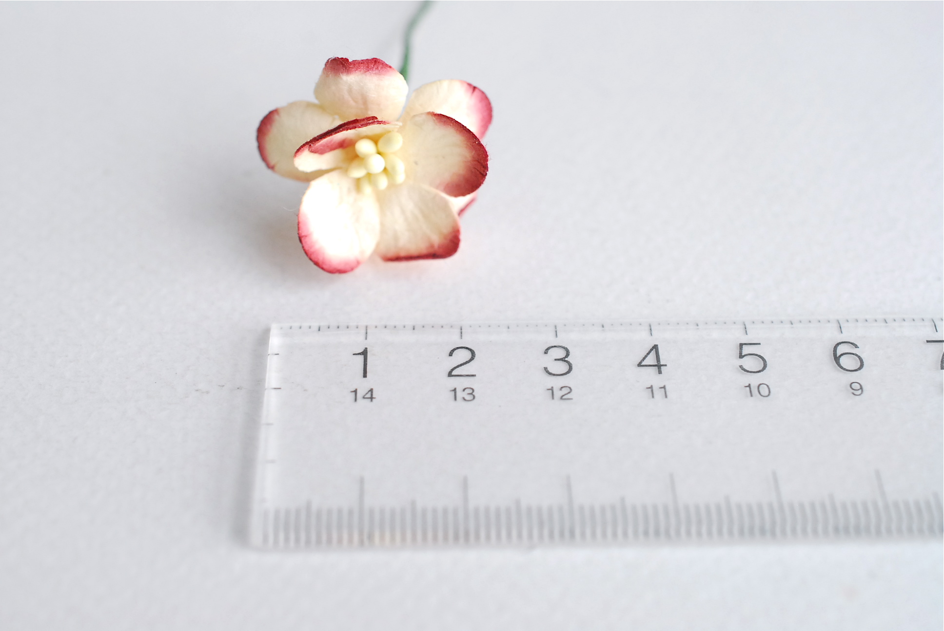 ดอกไม้กระดาษสา ดอกไม้กระดาษสาราคาส่ง ดอกไม้กระดาษสำหรับตกแต่งของชำร่วย งานแต่งงาน ทำช่อดอกไม้ติดอกเจ้าบ่าว ข้อมือดอกไม้เจ้าสาว ขนาด2.5 cm. 50 ดอก Paper flowers supplies: DIY wedding tools Cherry blossom (Sakura) 50 pcs. size 2.5 cm. Ivory brush dark red c