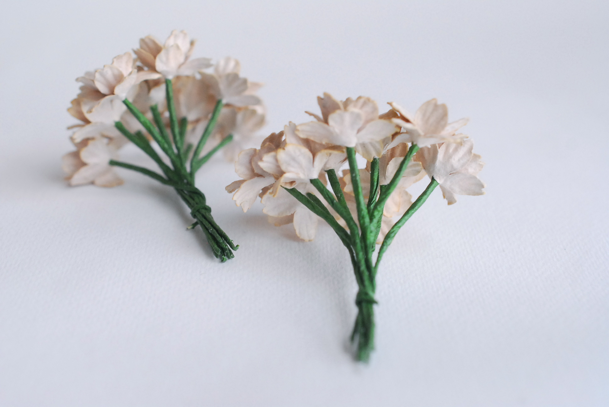 ดอกไม้กระดาษสา ดอกซากุระกระดาษ ขนาดเล็ก ดอกไม้กระดาษสาราคาส่ง ดอกไม้กระดาษสำหรับตกแต่งของชำร่วย งานแต่งงาน ทำช่อดอกไม้ติดอกเจ้าบ่าว ข้อมือดอกไม้เจ้าสาว ขนาด2.0 cm. 50 ดอก สีน้ำตาลอ่อนPaper flowers supplies: DIY wedding tools small Cherry blossom (Sakura)