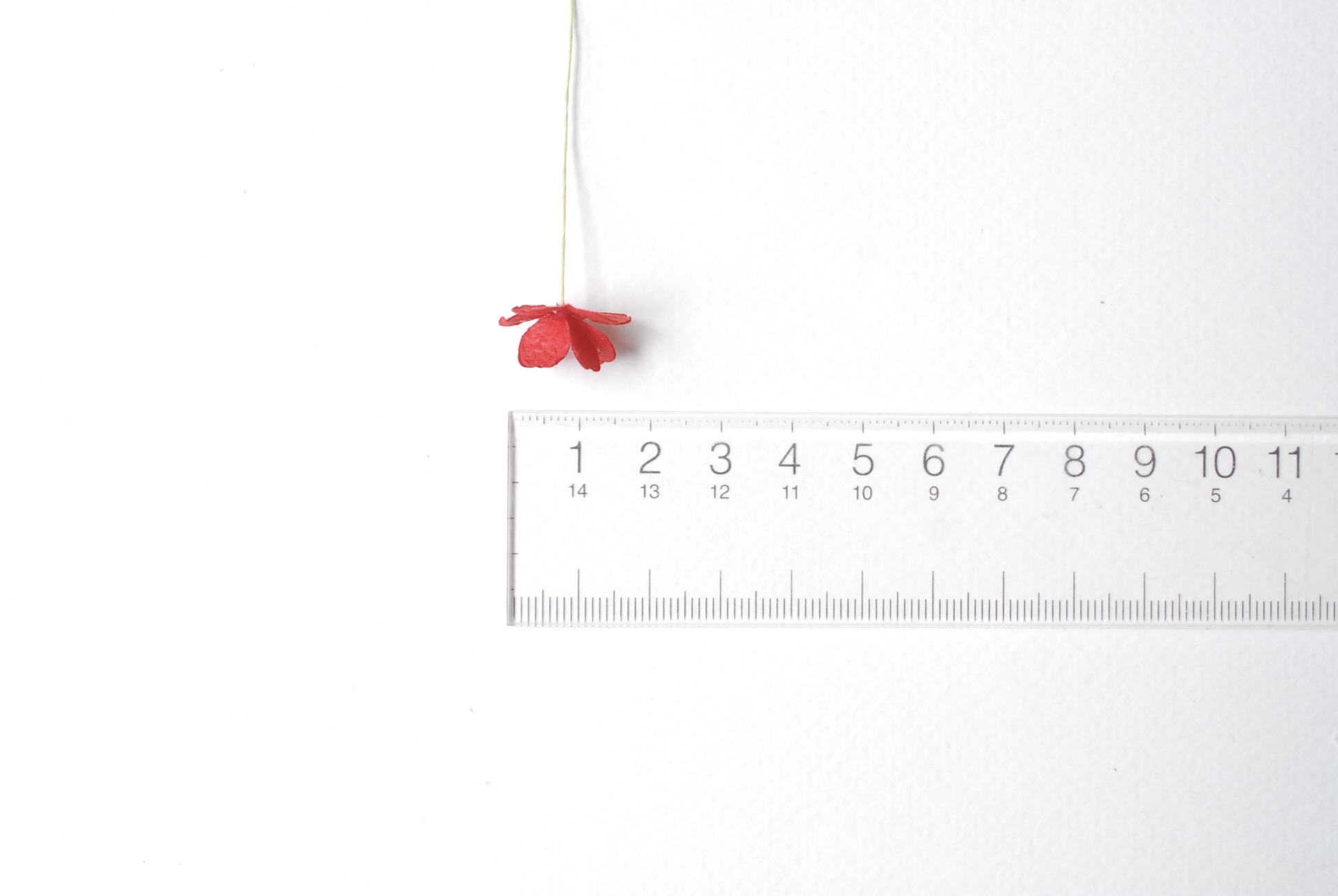 ดอกไม้กระดาษสา ราคาส่ง, ดอกไฮเดรนเยียกระดาษสา ดอกไม้ประดิษฐ์ ตกแต่งงานแต่งงาน ประดิษฐ์ข้อมือเพื่อนเจ้าสาว ขนาด 1.5 cm., สำหรับของชำร่วย, งานแต่งงาน, ดอกไม้ทำข้อมือเจ้าสาว สีแดง จำนวน 100 ดอก Paper flower,100 Pieces mulberry hydrangea red color