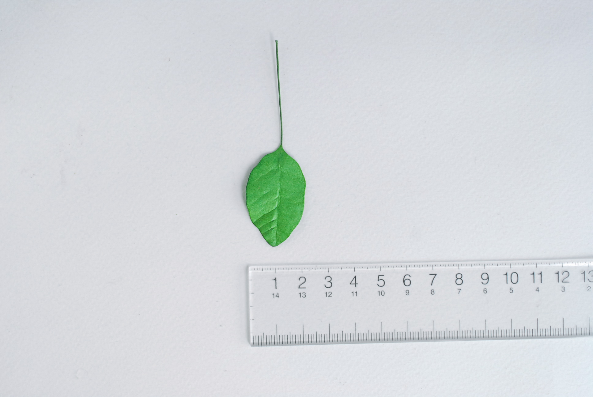 ใบไม้กระดาษ ใบไม้กระดาษสา ราคาส่ง,ใบไม่้กุหลาบกระดาษ สำหรับดอกมะลิกระดาษสา ใบไม้ประดิษฐ์ สำหรับตกแต่ง หรืองานแต่งงาน สีเขียวกลาง ขนาด 3.5x2.5 cm. จำนวน 50 ใบ