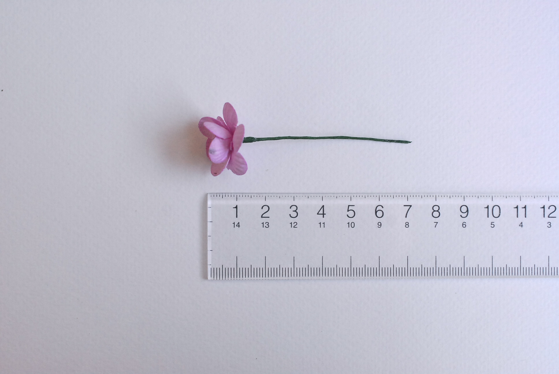 ดอกไม้กระดาษสา ดอกซากุระกระดาษ ดอกไม้กระดาษสาราคาส่ง ดอกไม้กระดาษสำหรับตกแต่งของชำร่วย งานแต่งงาน ทำช่อดอกไม้ติดอกเจ้าบ่าว ข้อมือดอกไม้เจ้าสาว ขนาด2.5 cm. 50 ดอก สีม่วงอ่อน Paper flowers supplies: DIY wedding tools Cherry blossom (Sakura) 50 pcs. size 2.5