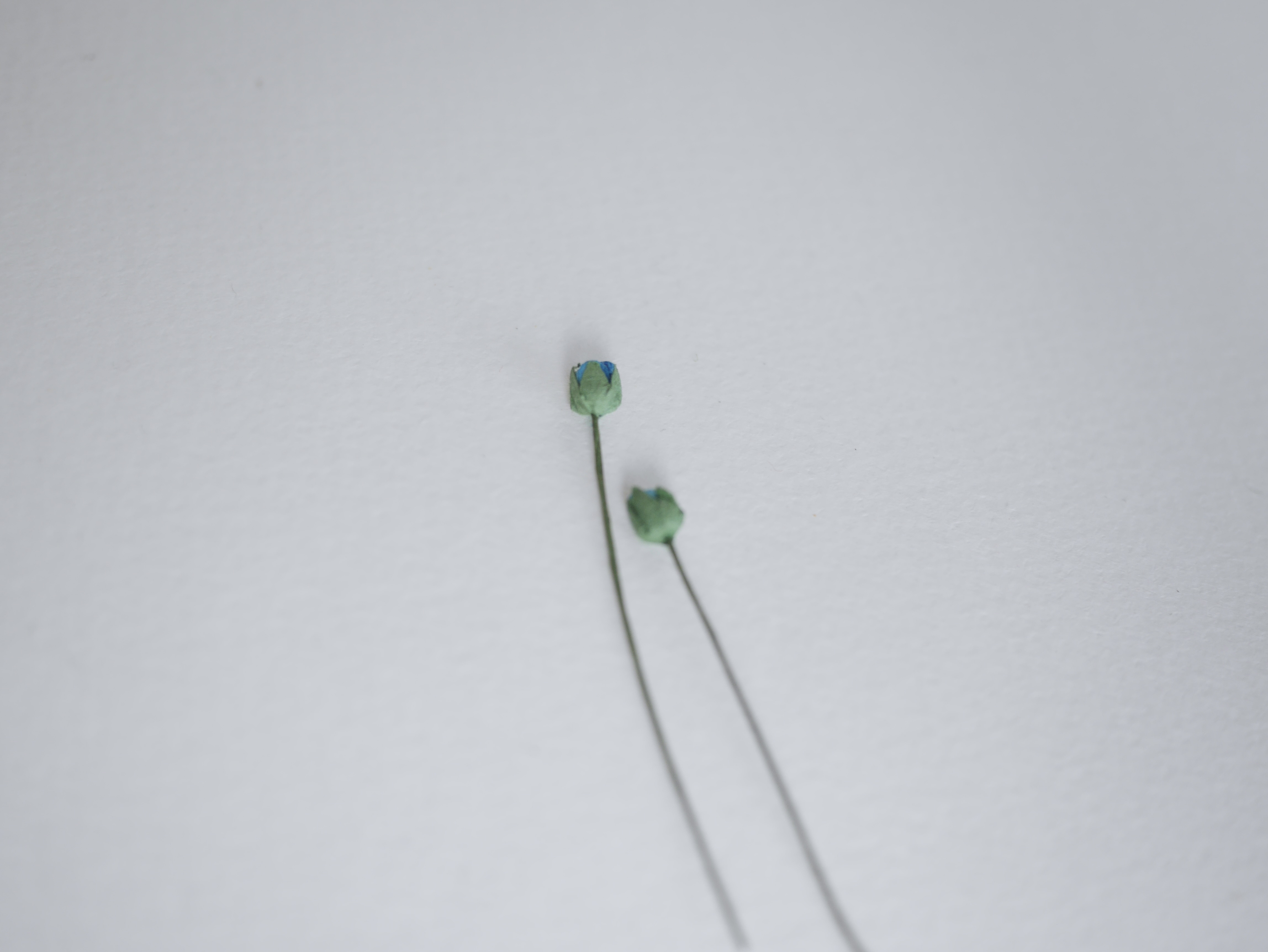 ดอกไม้กระดาษสา ดอกไม้กระดาษสา จตุจักร งานประดิษฐ์ ดอกไม้ทำข้อมือเพื่อนเจ้าสาว แต่งงาน, ดอกกุหลาบตูมจิ๋ว 100 ดอก สีน้ำเงินน้ำทะเล ขนาด 0.3x0.5 cm. paper flowers, budding roses flower 0.5x0.8 cm. 100 pieces. blue aqua color.