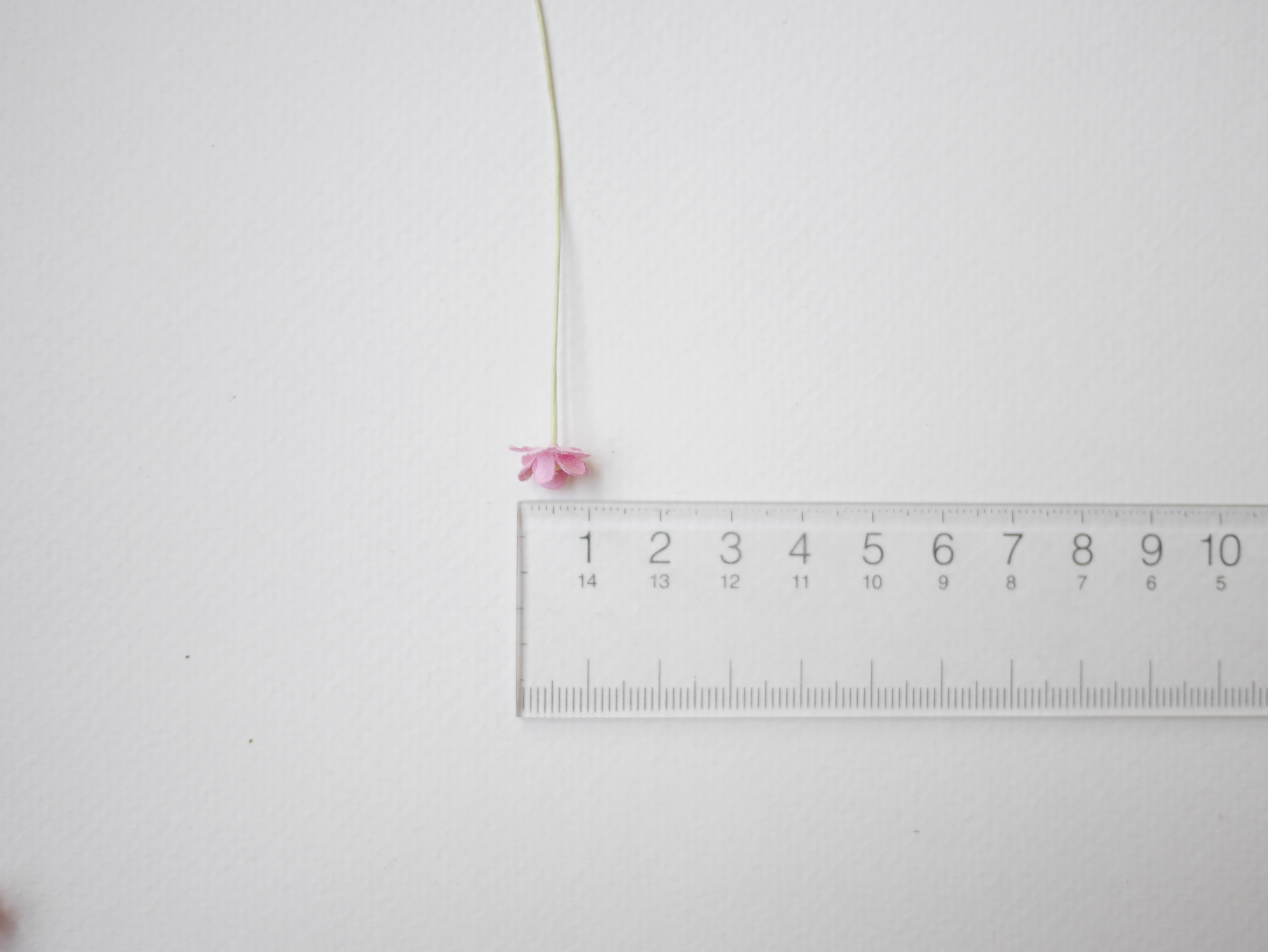 ดอกไม้กระดาษสา ดอกไม้กระดาษสาราคาส่ง ดอกไม้กระดาษสำหรับตกแต่ง งานแต่งงาน หรือติดของชำร่วย ดอก creeping lady 100 ดอก ขนาด 0.8 cm. สีชมพู Small Paper Flower with stem, 100 pcs., size 0.8 cm., creeping flowers 2 layers, pink color