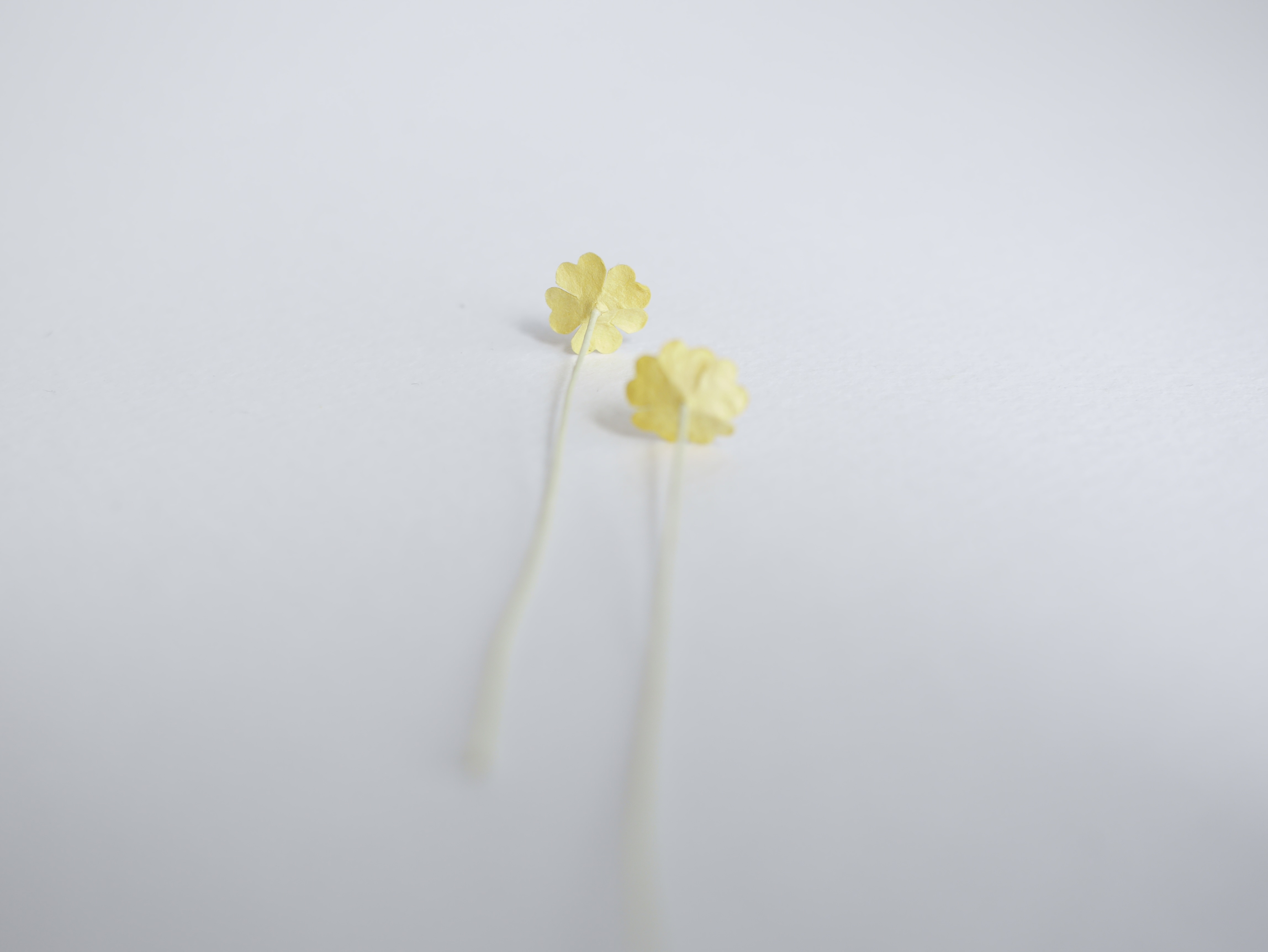 ดอกไม้กระดาษสา ดอกไม้กระดาษสาราคาส่ง ดอกไม้กระดาษสำหรับตกแต่ง งานแต่งงาน หรือติดของชำร่วย ดอกไม้จิ๋ว 100 ดอก ขนาด 1 cm. สีเหลือง Small Paper Flower with stem, , 100 pcs., size 1 cm., small creeping ladies flowers 1 layer, yellow color.