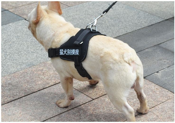 [1100] เสื้อพร้อมสายจูง สุนัข แมว ขนาดใหญ่ แรงเยอะ S M L XL