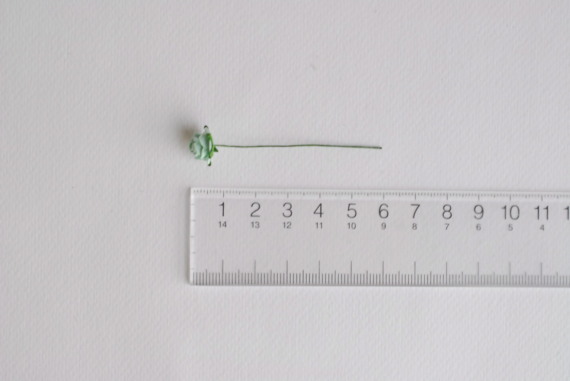 ดอกไม้กระดาษสาสำหรับตกแต่ง ของชำร่วย ดอกกุหลาบ กระดาษสา สีมิ้น #166 ขนาด 1 cm. จำนวน 100 ดอก/1 ถุง