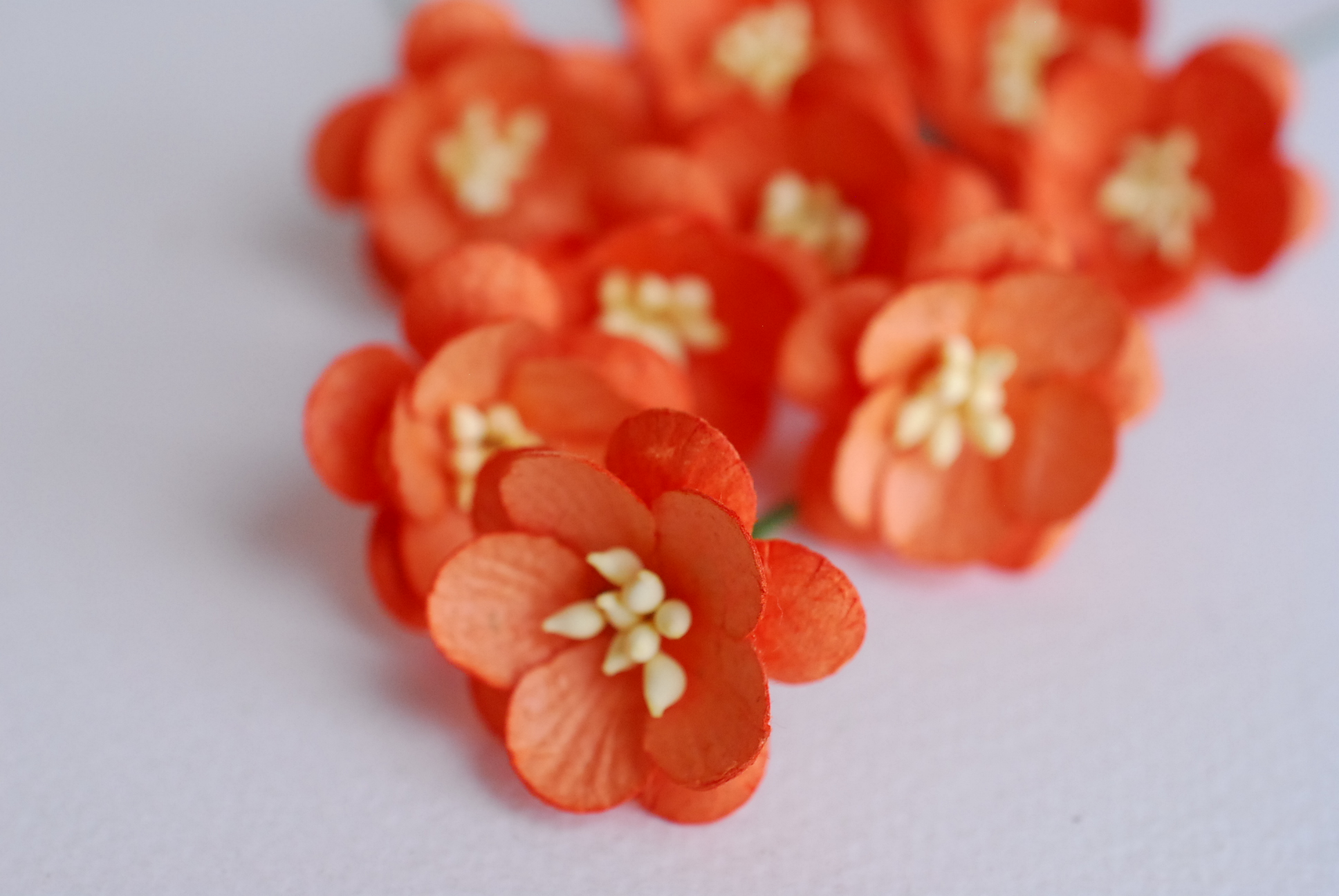 ดอกไม้กระดาษสา ดอกซากุระกระดาษสีส้ม ดอกไม้กระดาษสาราคาส่ง ดอกไม้กระดาษสำหรับตกแต่งของชำร่วย งานแต่งงาน ทำช่อดอกไม้ติดอกเจ้าบ่าว ข้อมือดอกไม้เจ้าสาว ขนาด2.5 cm. 50 ดอก Paper flowers supplies: DIY wedding tools Cherry blossom (Sakura) 50 pcs. size 2.5 cm.