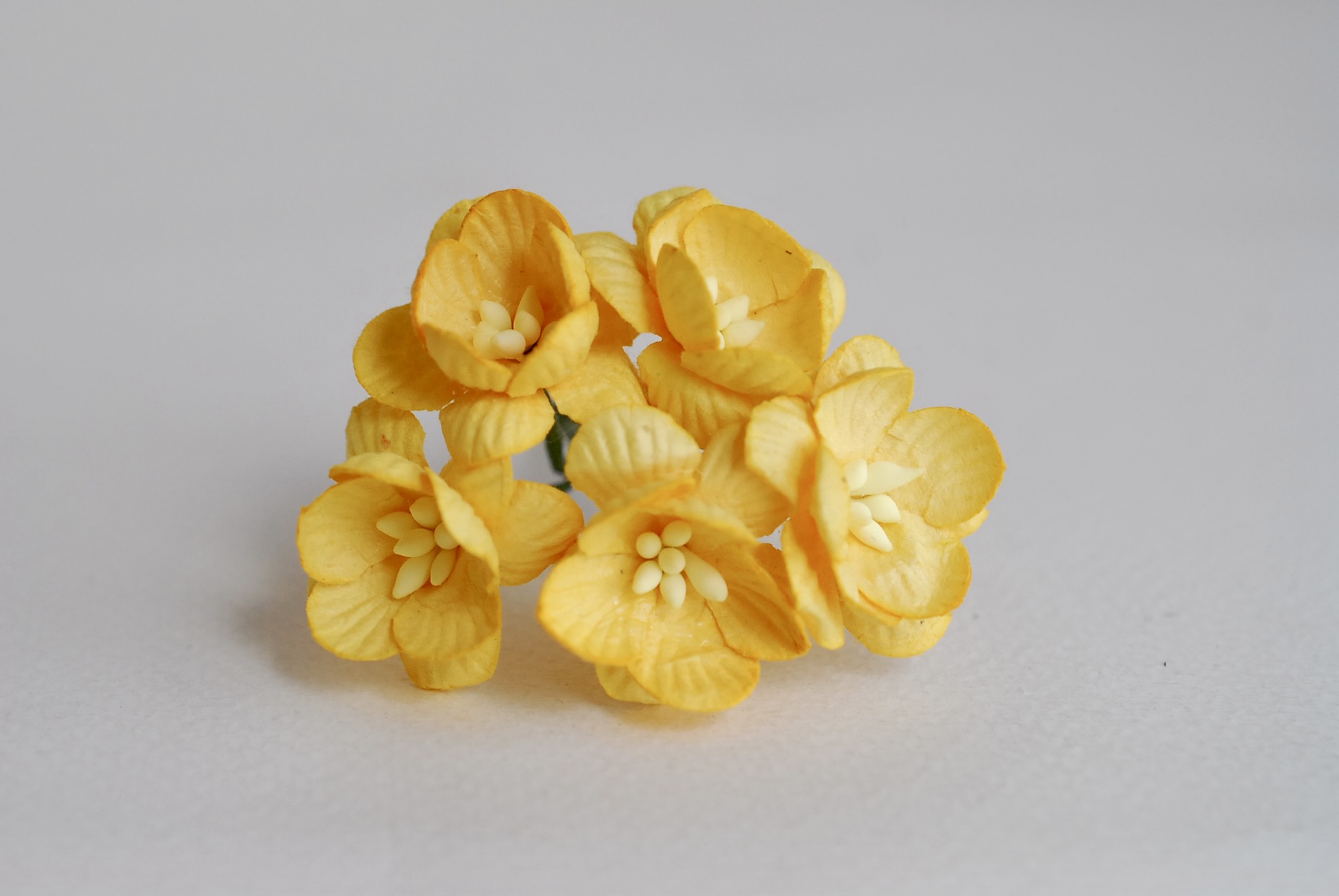 ดอกไม้กระดาษสา ดอกซากุระกระดาษ ขนาดเล็ก ดอกไม้กระดาษสาราคาส่ง ดอกไม้กระดาษสำหรับตกแต่งของชำร่วย งานแต่งงาน ทำช่อดอกไม้ติดอกเจ้าบ่าว ข้อมือดอกไม้เจ้าสาว ขนาด2.0 cm. 50 ดอก สีเหลืองกลาง Paper flowers supplies: DIY wedding tools small Cherry blossom (Sakura)