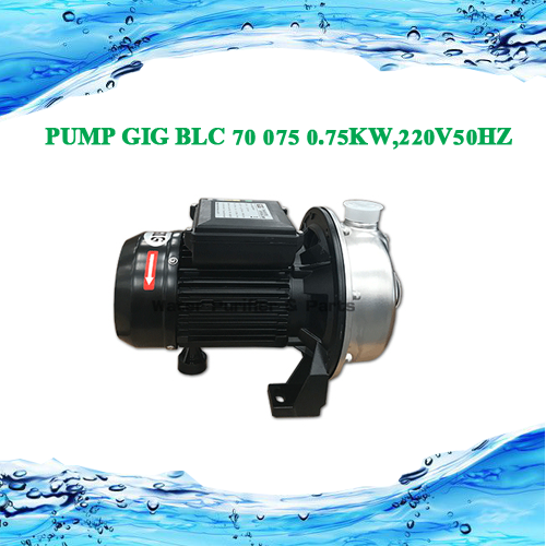 PUMP GIG BLC 70 075 0.75KW,220V50HZ
