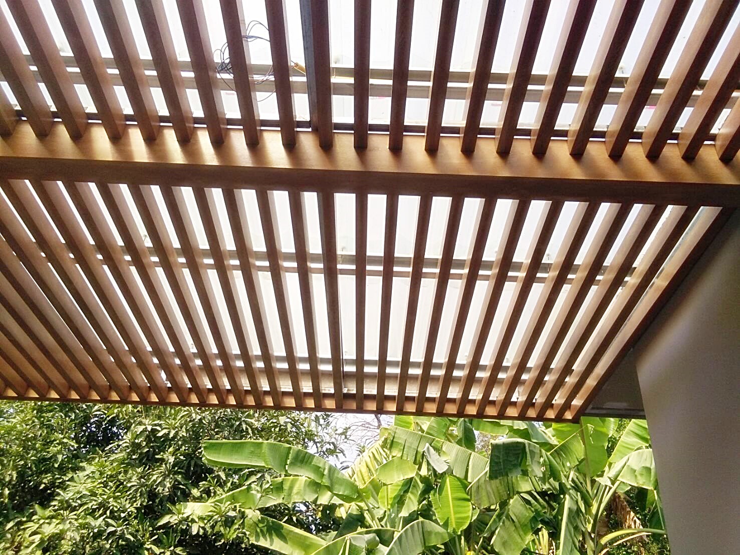 MwooD RE1.5"X2.8" บาท/เมตร