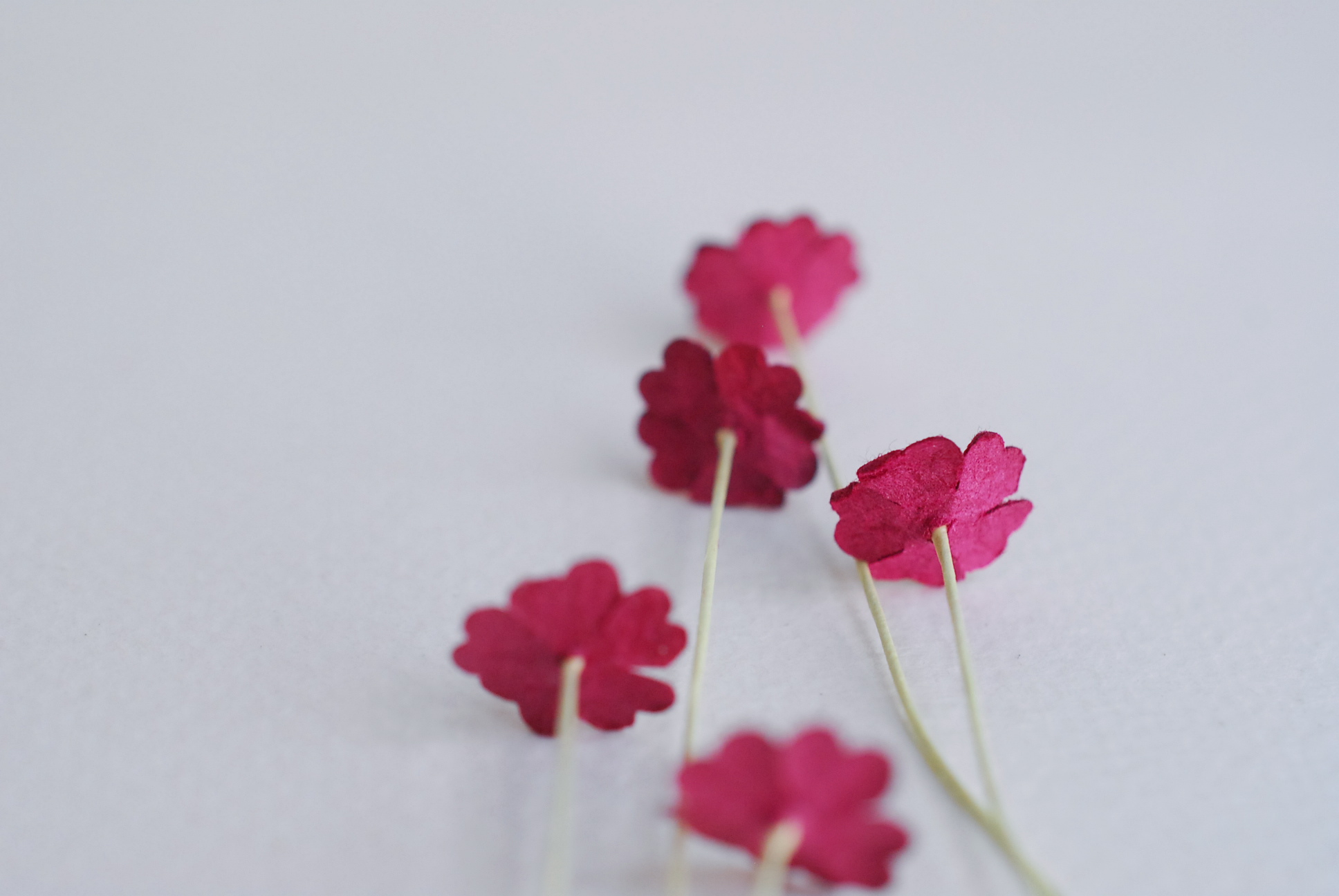ดอกไม้กระดาษสา ดอกไม้กระดาษสาราคาส่ง ดอกไม้กระดาษสำหรับตกแต่ง งานแต่งงาน หรือติดของชำร่วย ดอกไม้จิ๋ว 100 ดอก ขนาด 1 cm. สีแดงเข้ม Small Paper Flower with stem, , 100 pcs., size 1 cm., small creeping ladies flowers 1 layer, red wine color.