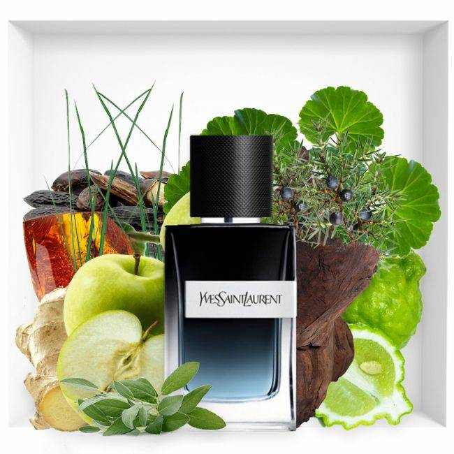 YSL Y EDP แบ่งขาย