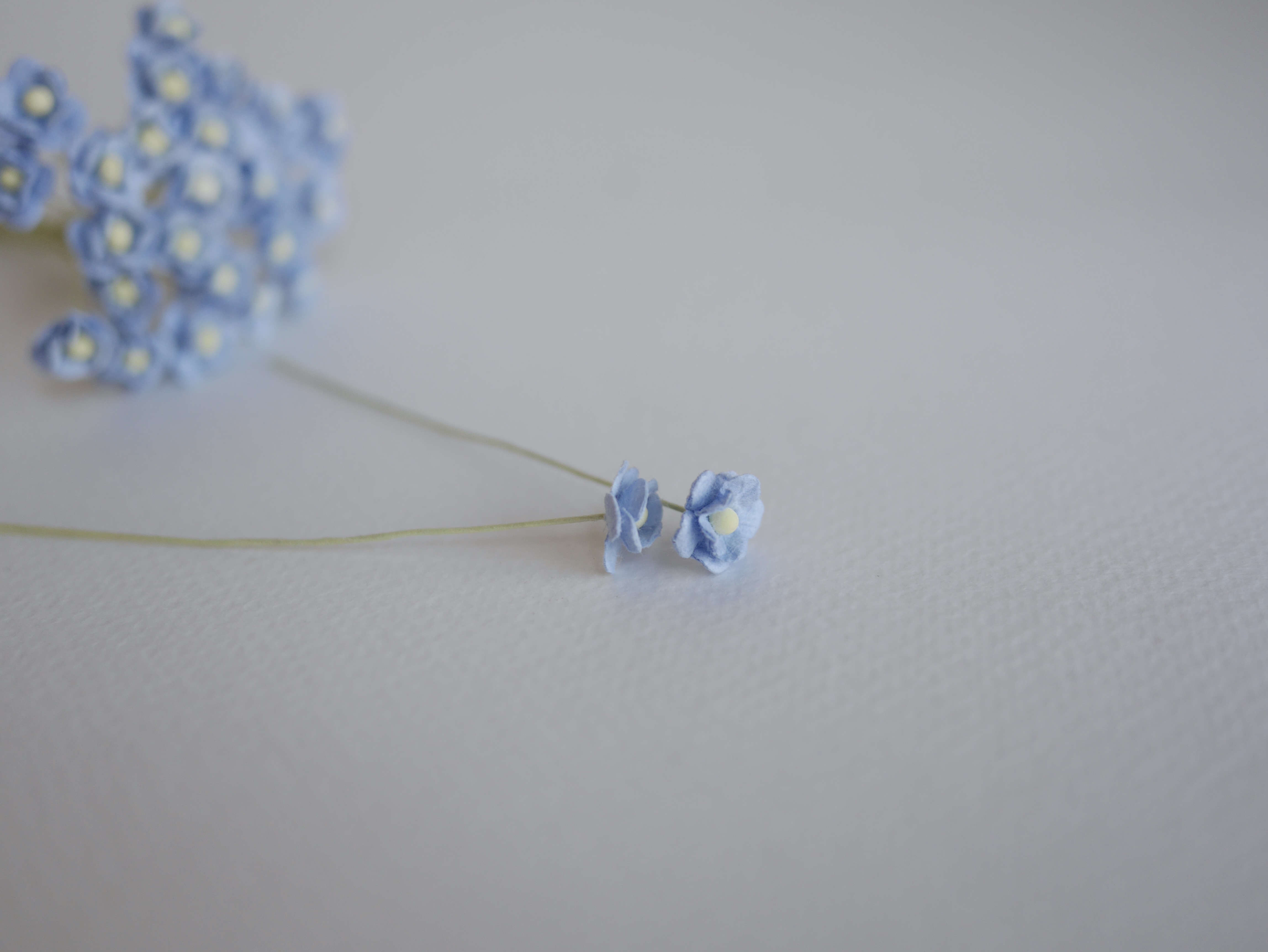 ดอกไม้กระดาษสา ดอกไม้กระดาษสาราคาส่ง ดอกไม้กระดาษสำหรับตกแต่ง งานแต่งงาน หรือติดของชำร่วย ดอก creeping lady 100 ดอก ขนาด 0.8 cm. สีฟ้าตุ่น Small Paper Flower with stem, , 100 pcs., size 0.8 cm., creeping flowers 2 layers, pale blue sky color.